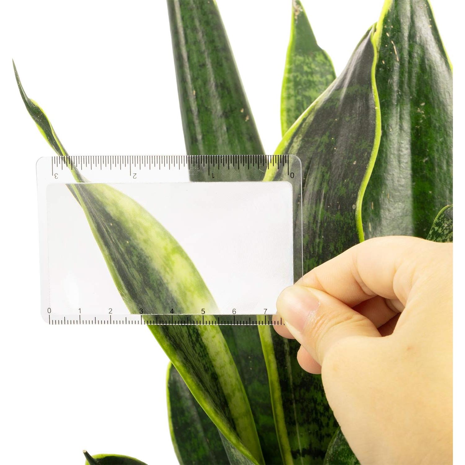 Lente Fresnel Frienda 20 Piezas Iniciador de Fuego Solar