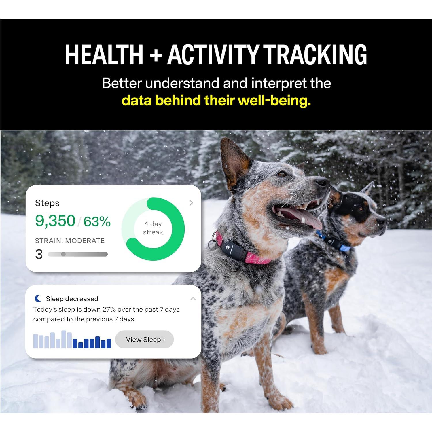 Collar Inteligente Fi Series 3 - GPS y Monitor de Perros