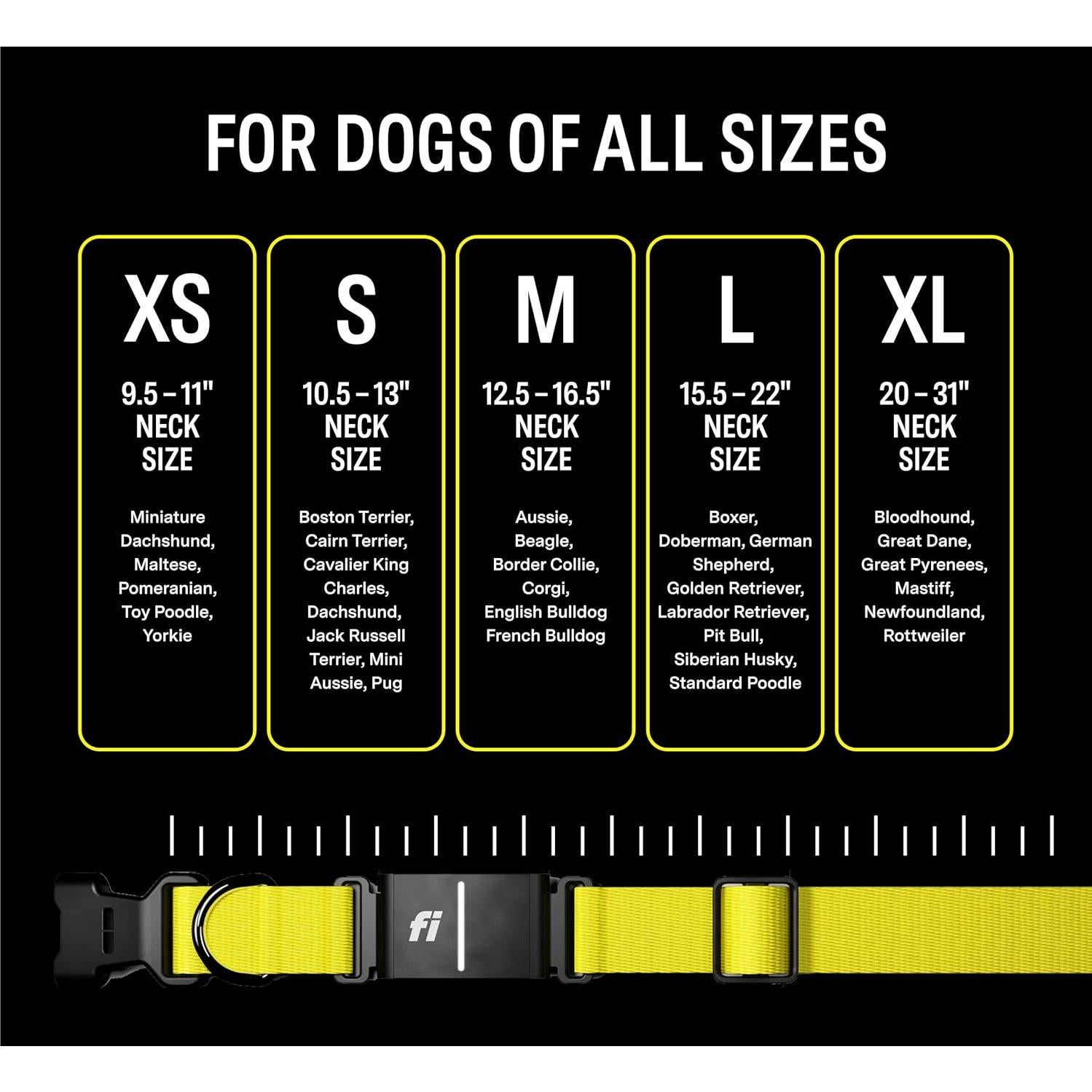 Collar Inteligente Fi Series 3 - GPS y Monitor de Perros