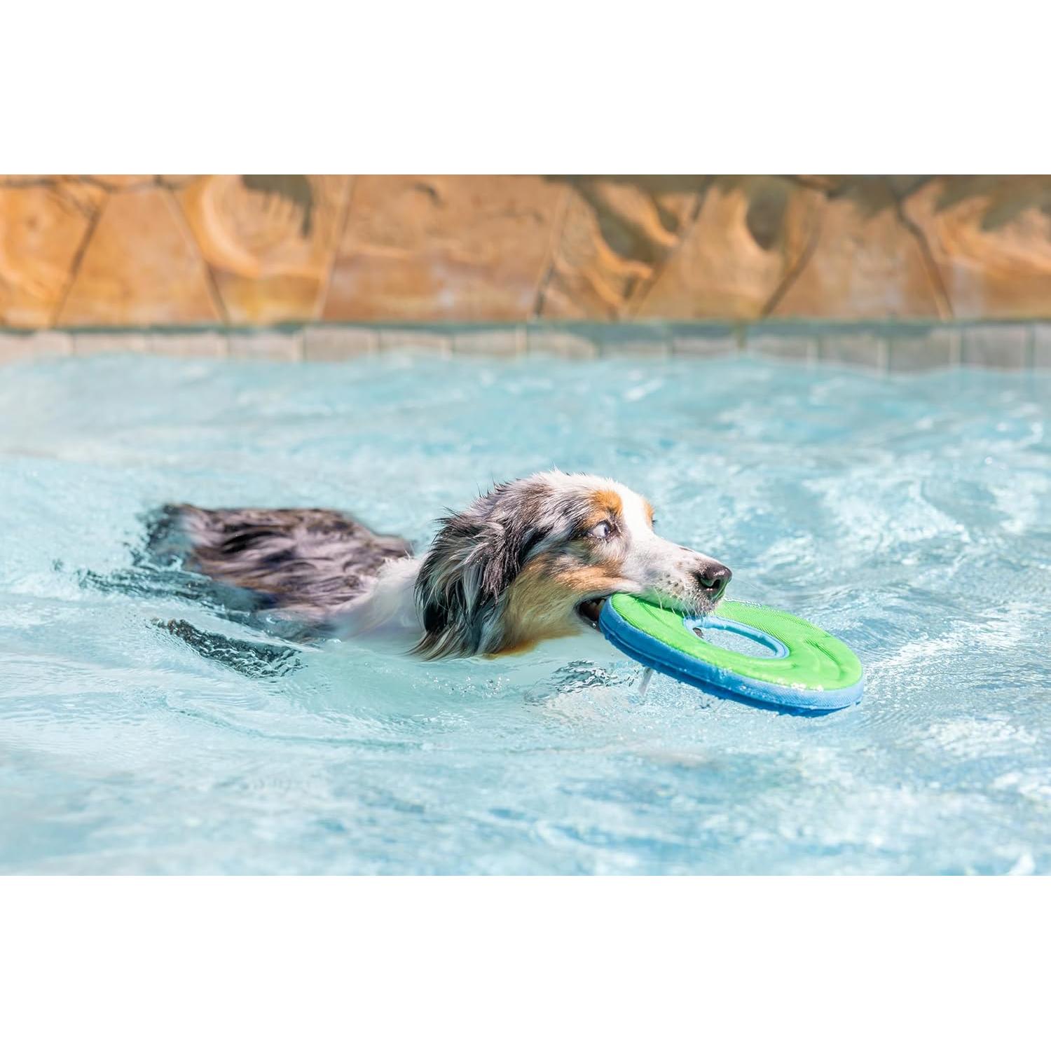 Juguete Volador para Perros Chuckit! Zipflight Mediano 21.6 cm