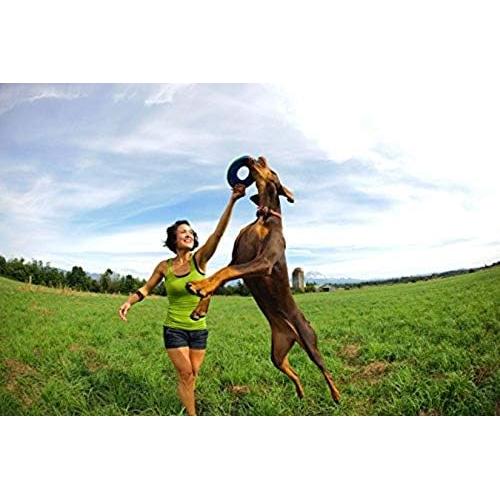 Juguete Volador para Perros Chuckit! Zipflight Mediano 21.6 cm