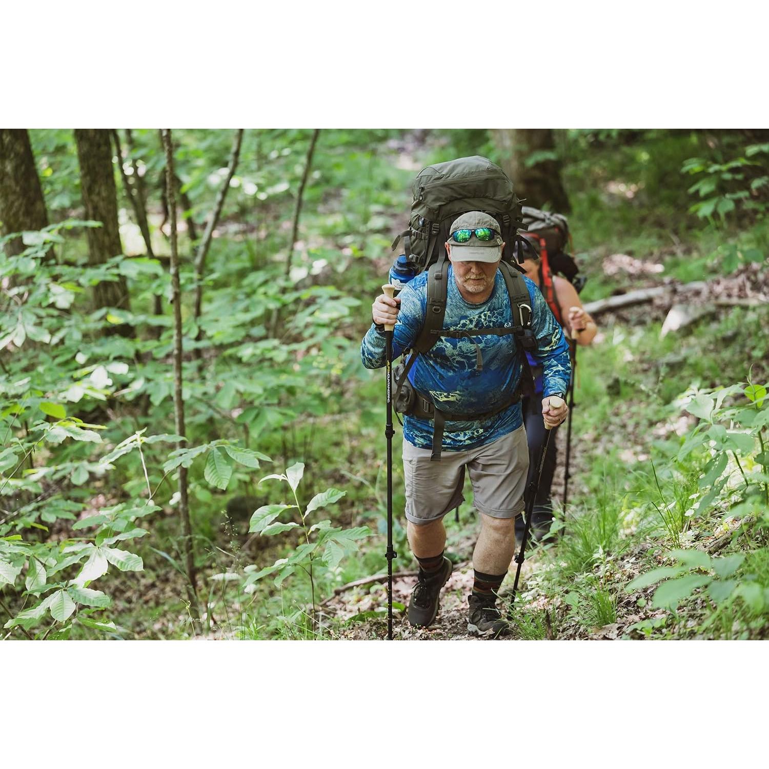 Bastones de Senderismo ALPS Alliance, Juego de 2, Negro