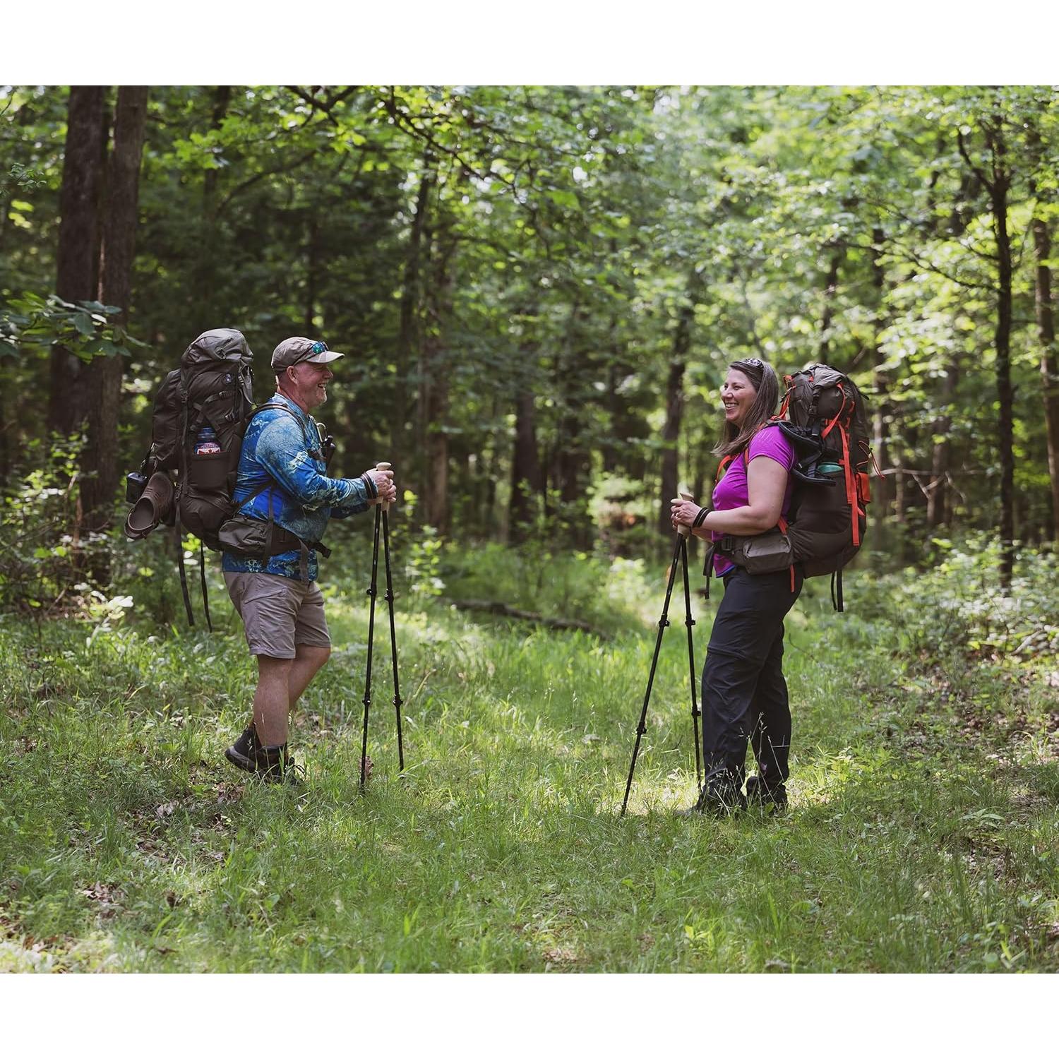 Bastones de Senderismo ALPS Alliance, Juego de 2, Negro