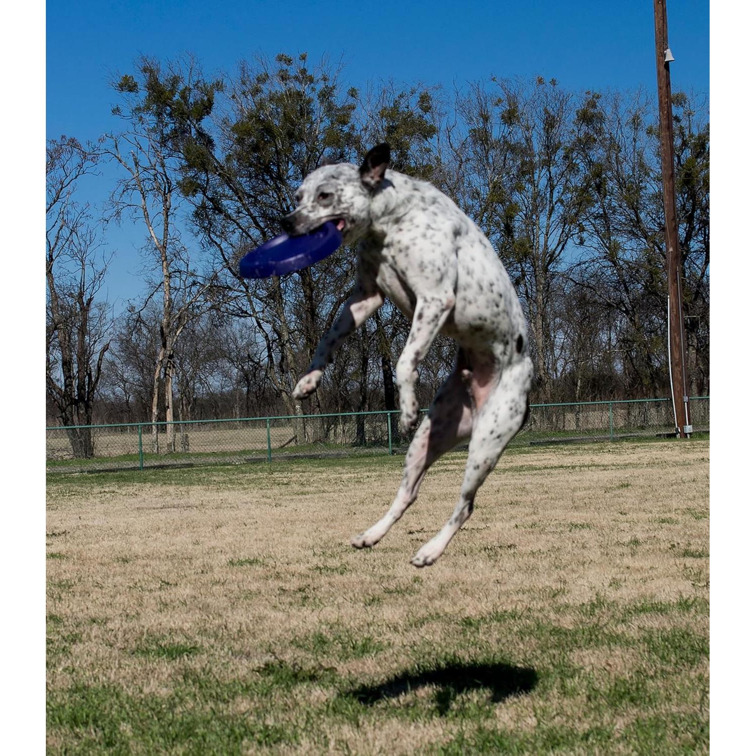 Disco Volador Starmark DuraFoam 27.94 cm para Perros