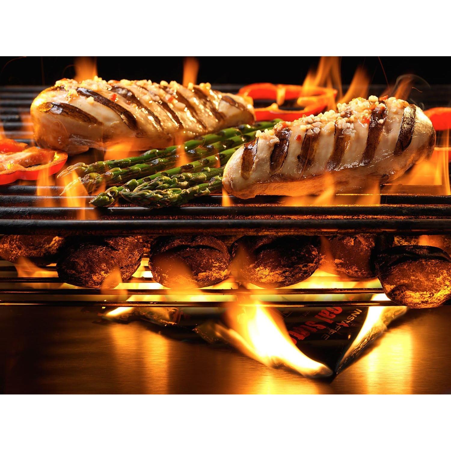 Insta-Fire 3 Paquetes Encendedores de Carbón Ecológicos