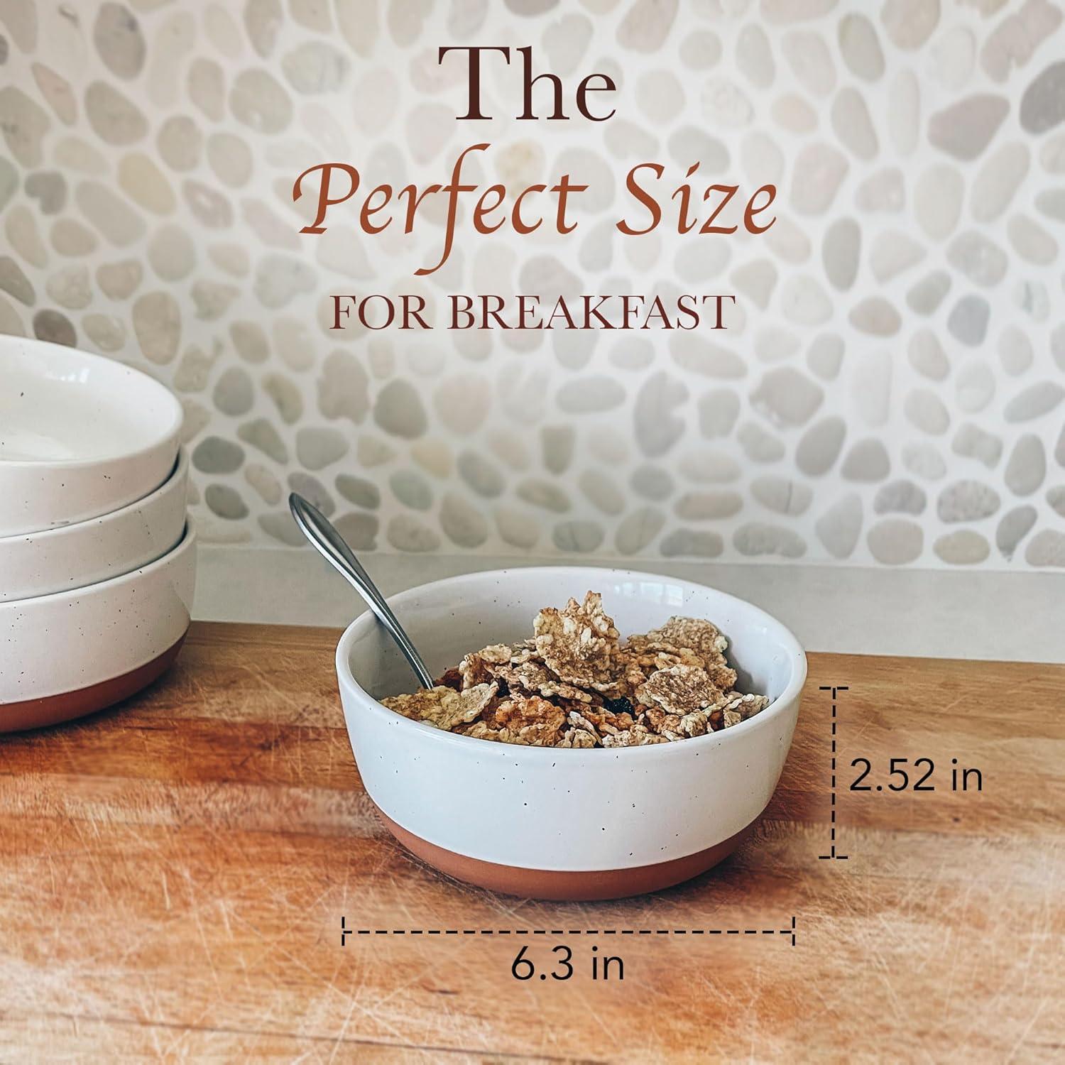 Juego de 4 Cuencos de Cerámica Mora 739ml Apto Microondas