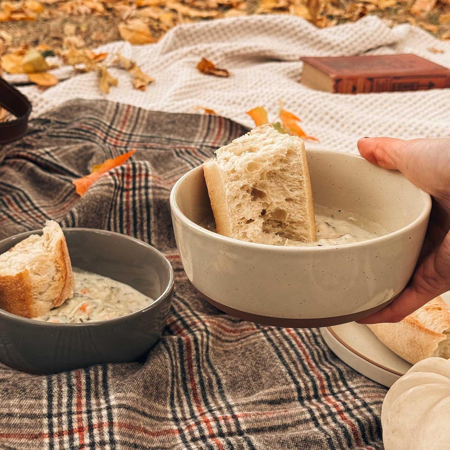 Juego de 4 Cuencos de Cerámica Mora 739ml Apto Microondas