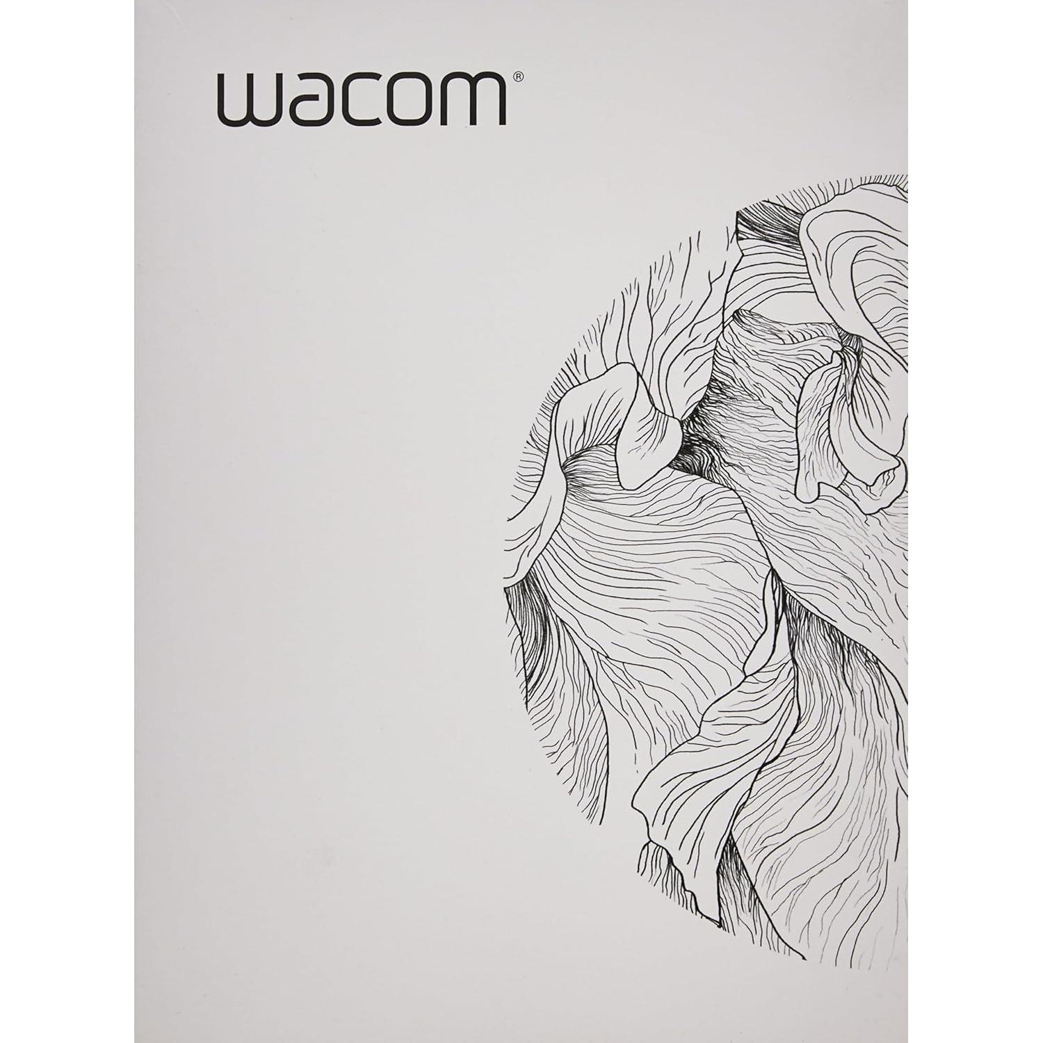 Adaptador de corriente Wacom 100W para Mobile Studio Pro