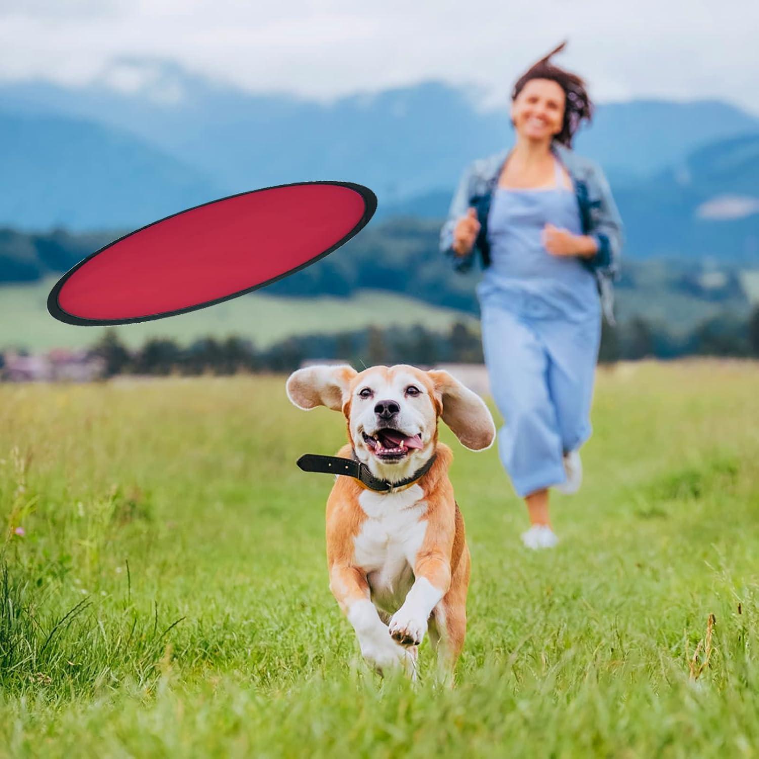 Discos Voladores Mototo Plegables 15 Piezas para Niños