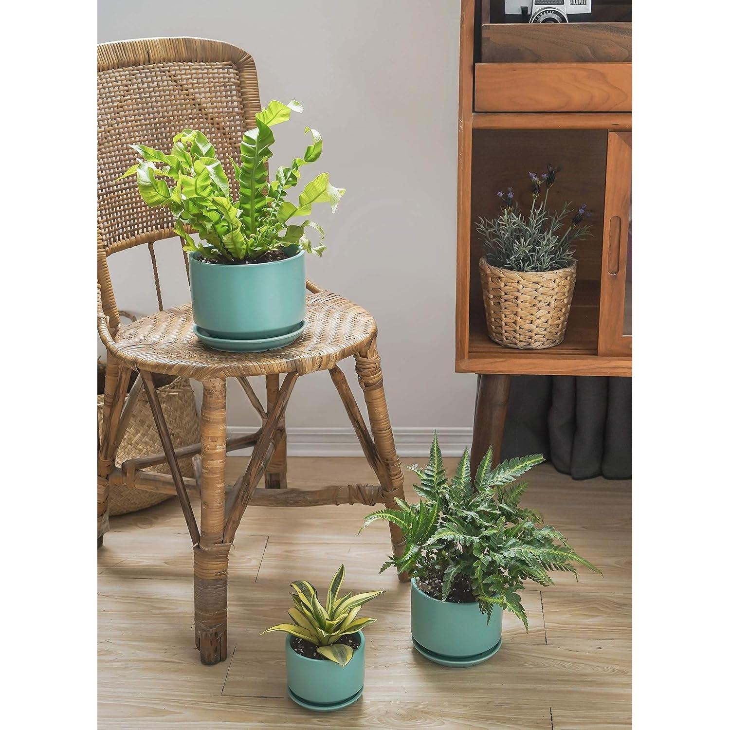 Set de 3 Macetas de Cerámica LE TAUCI 10.9-17.3 cm Aqua