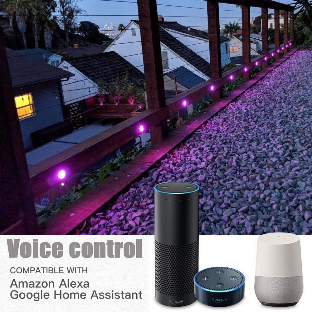 Kit de luces LED empotradas Sumaote 10pcs RGBW 4.5cm WiFi