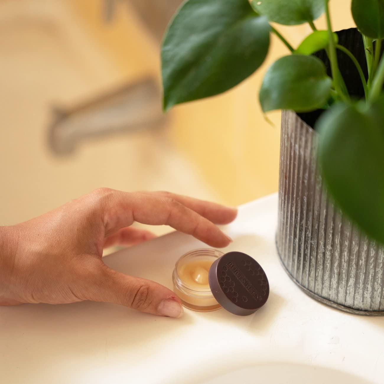 Exfoliante Labial de Miel Burt's Bees 7.09 g - Nutre y Hidrata