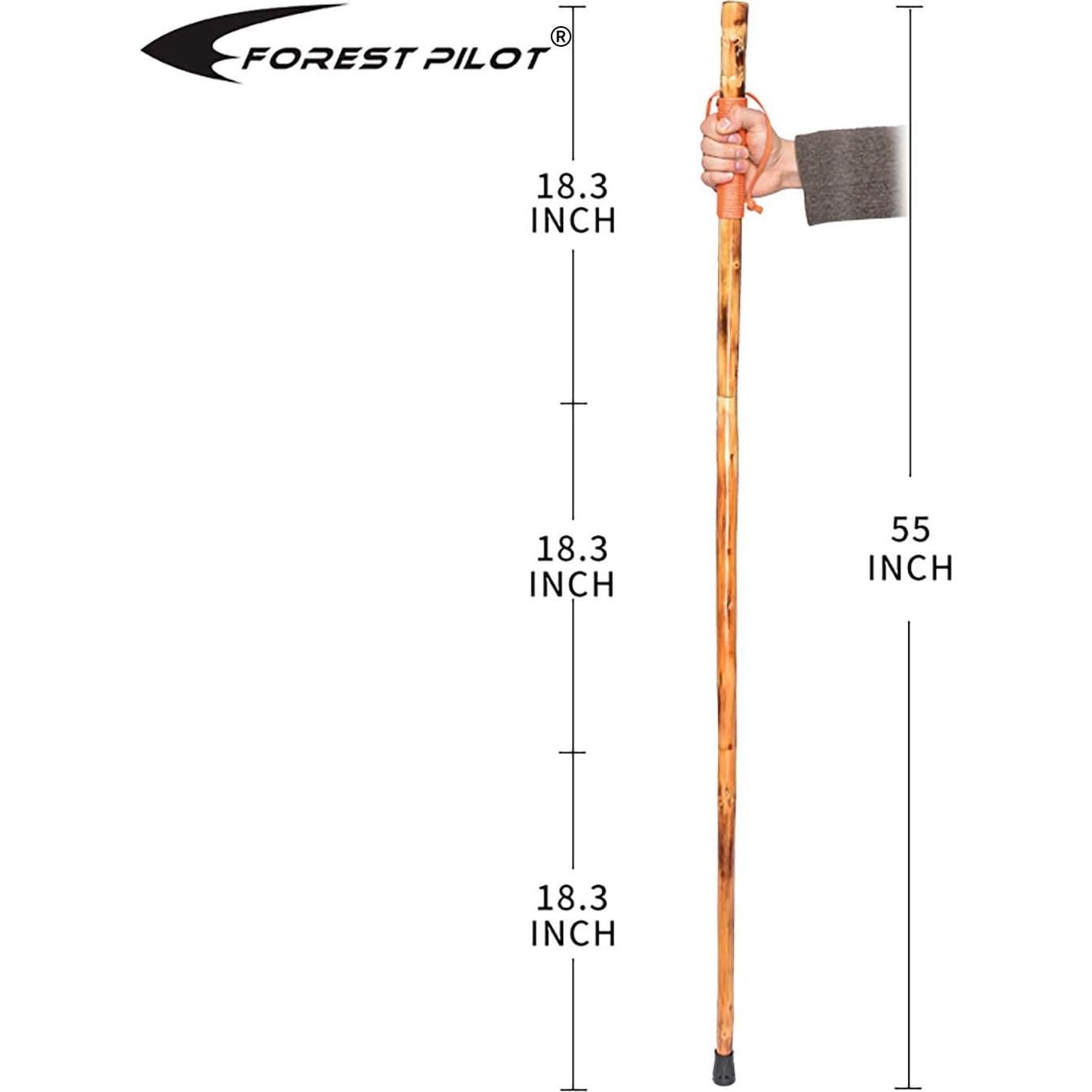 Bastón de senderismo FOREST PILOT 3 piezas con brújula