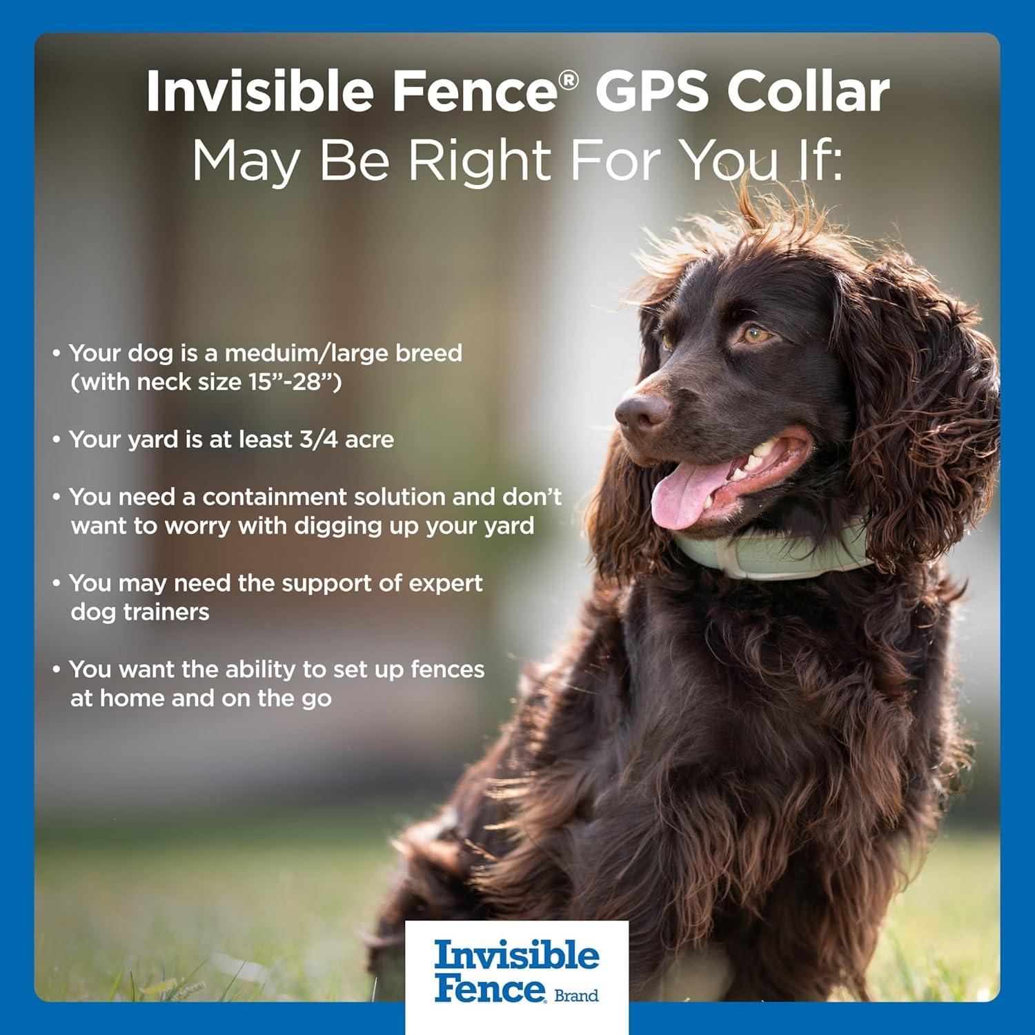 Collar GPS Invisible Fence para Perros Medianos y Grandes