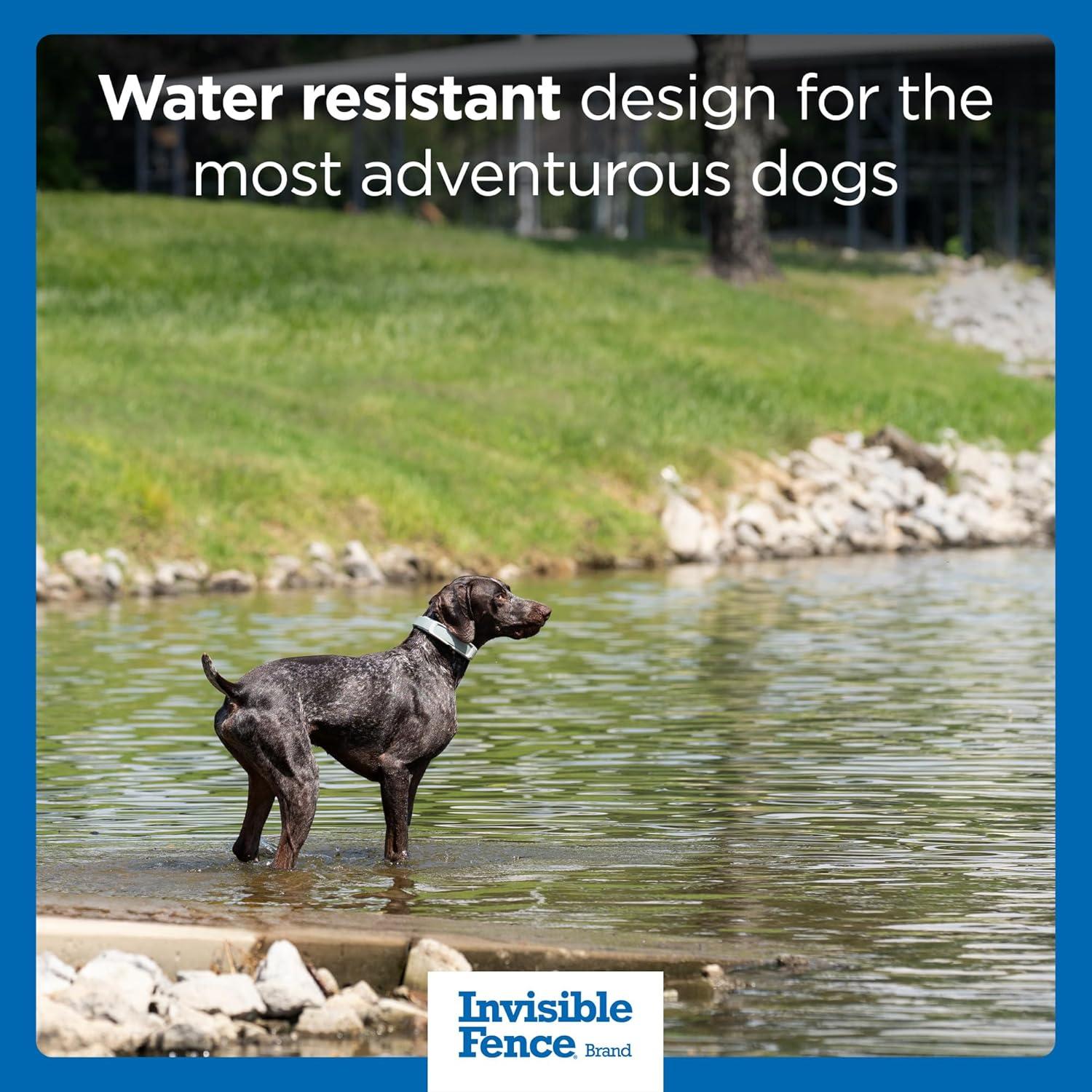 Collar GPS Invisible Fence para Perros Medianos y Grandes