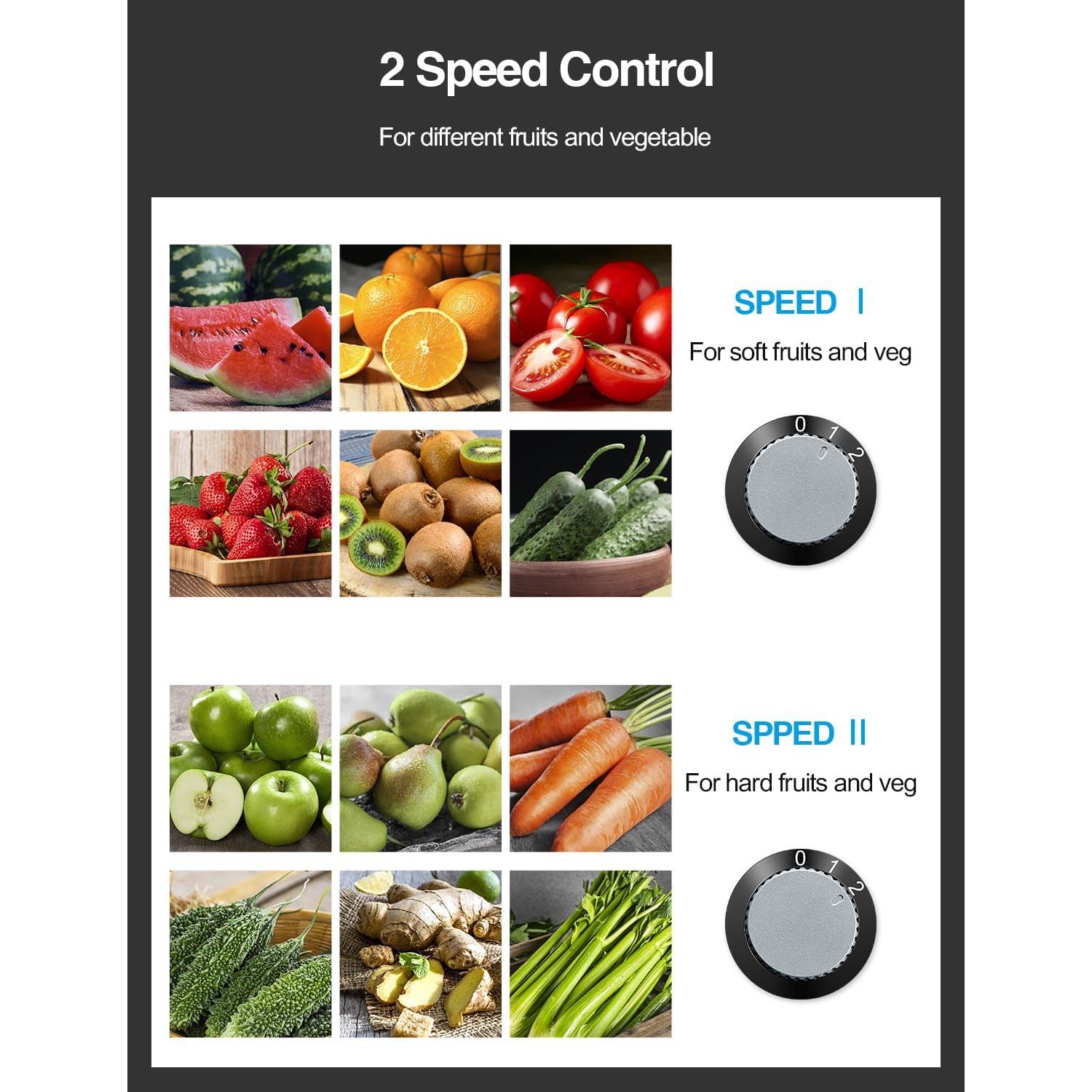 Extractor de Jugo QCen 800W Doble Velocidad Acero Inoxidable