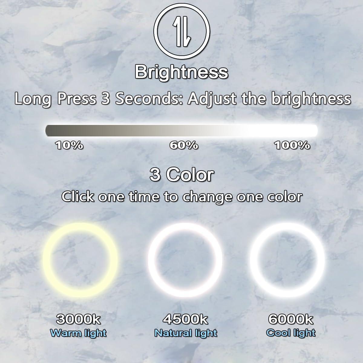 Espejo Ovalado Iluminado DIDIDADA 81 x 61 cm 3 Luces Ajustables