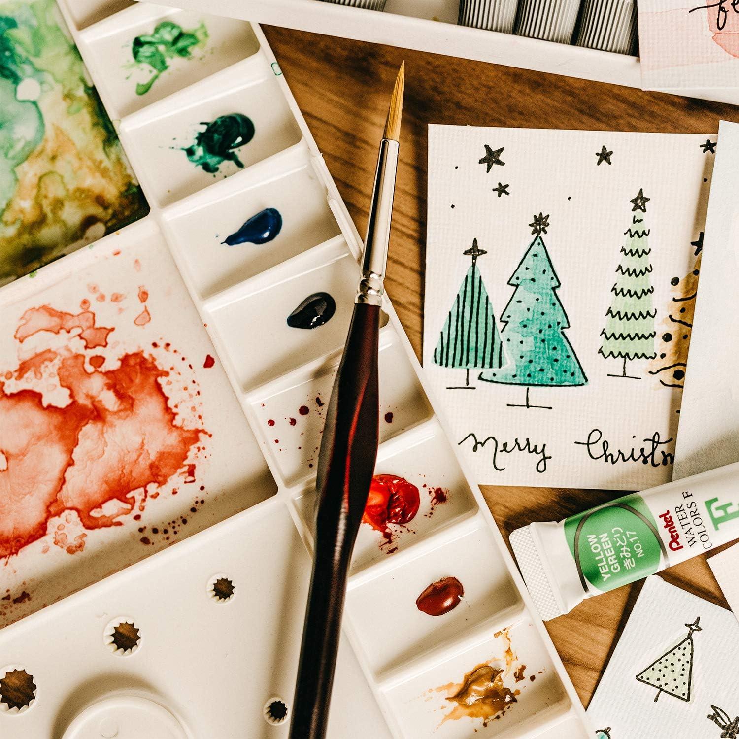 Juego de 9 Pinceles de Detalle Fino AIEX para Pintura