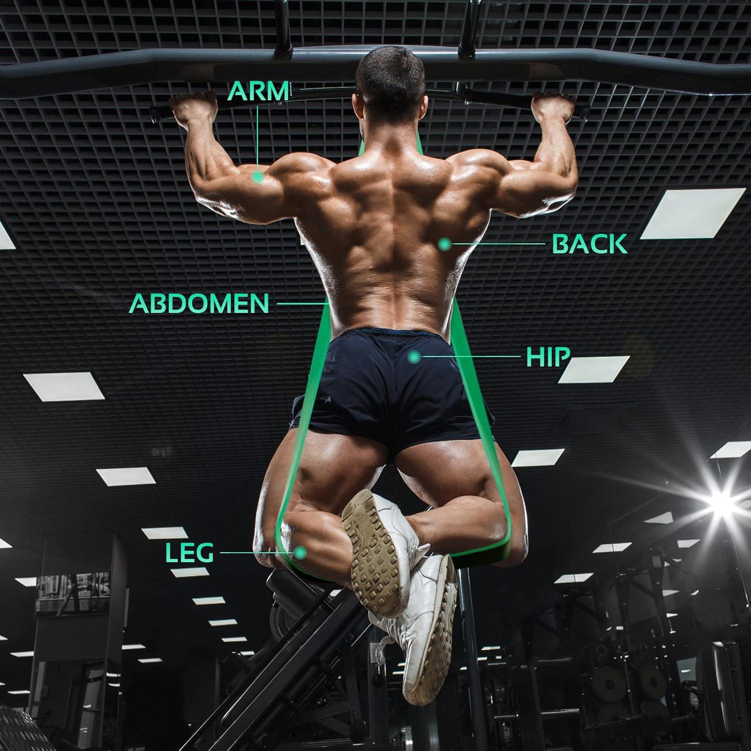 Bandas de Asistencia para Dominadas TheFitLife - 4 Niveles