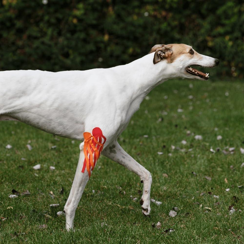 Cinta de Kinesiología Veterinaria Tmax 6 cm x 5 m Beige