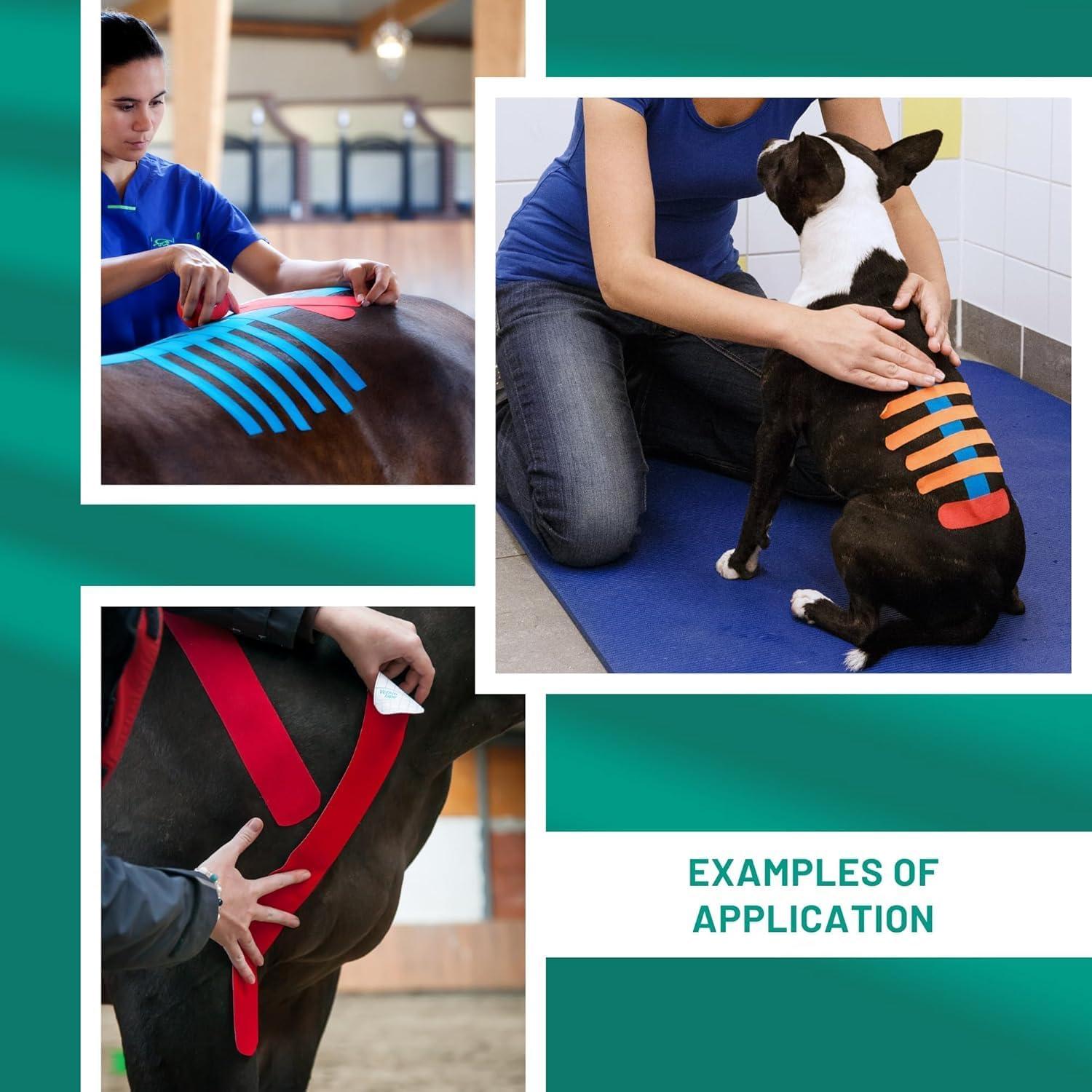 Cinta de Kinesiología Veterinaria Tmax 6 cm x 5 m Beige