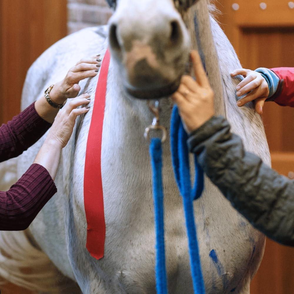 Cinta de Kinesiología Veterinaria Tmax 6 cm x 5 m Beige