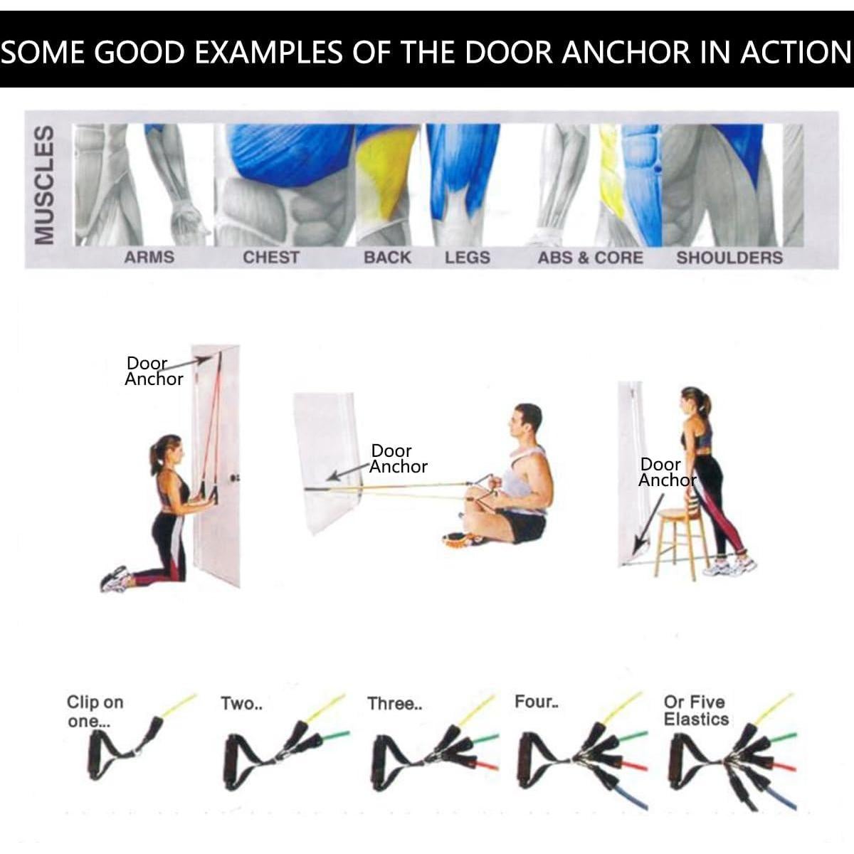 Juego de Bandas de Resistencia HONORIA 150 lbs con Mangos