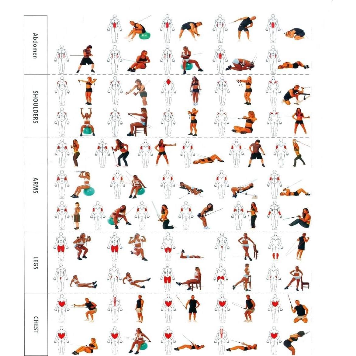Juego de Bandas de Resistencia HONORIA 150 lbs con Mangos