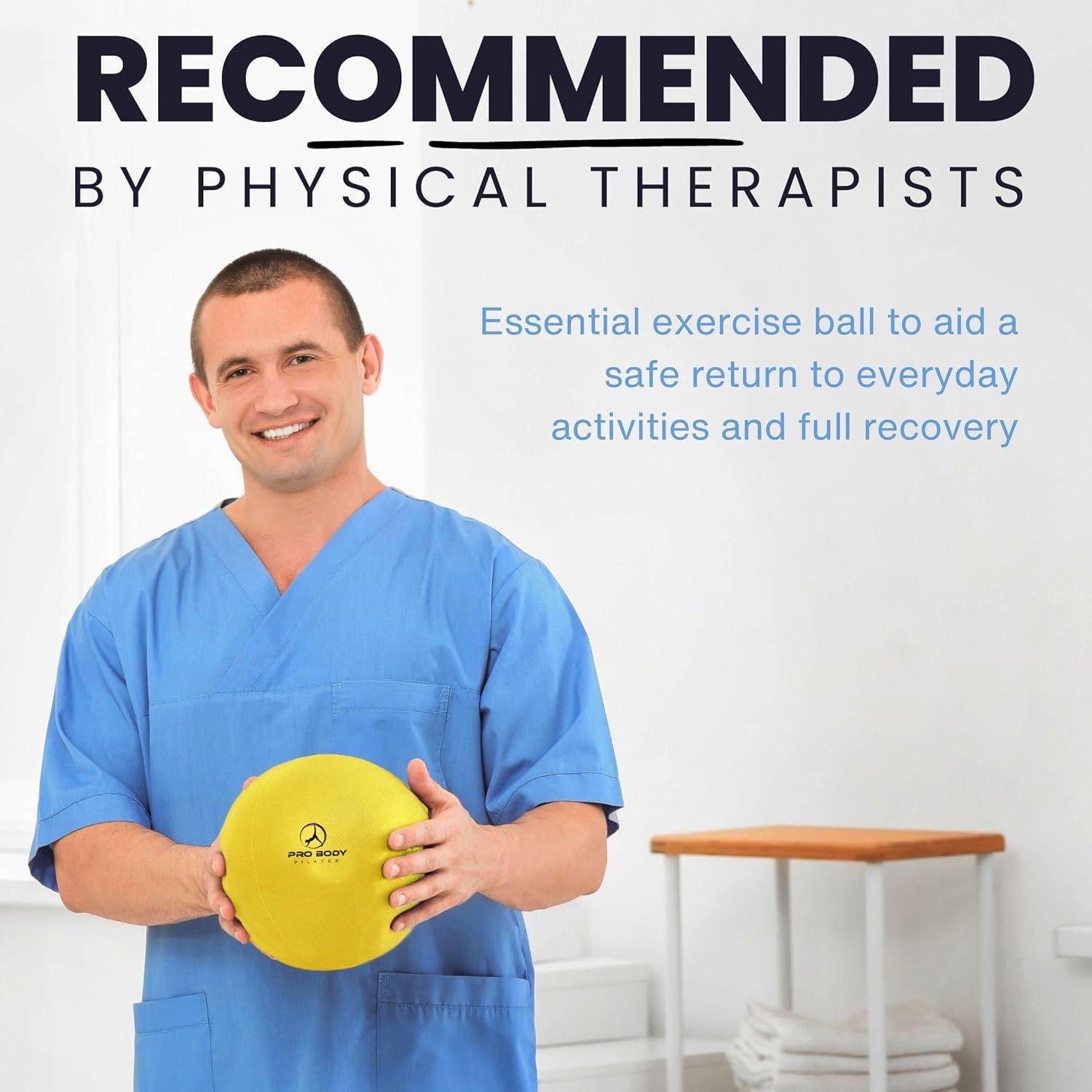 Pelota de Ejercicio ProBody Pilates 22.86 cm Rosa Anti-Explosión