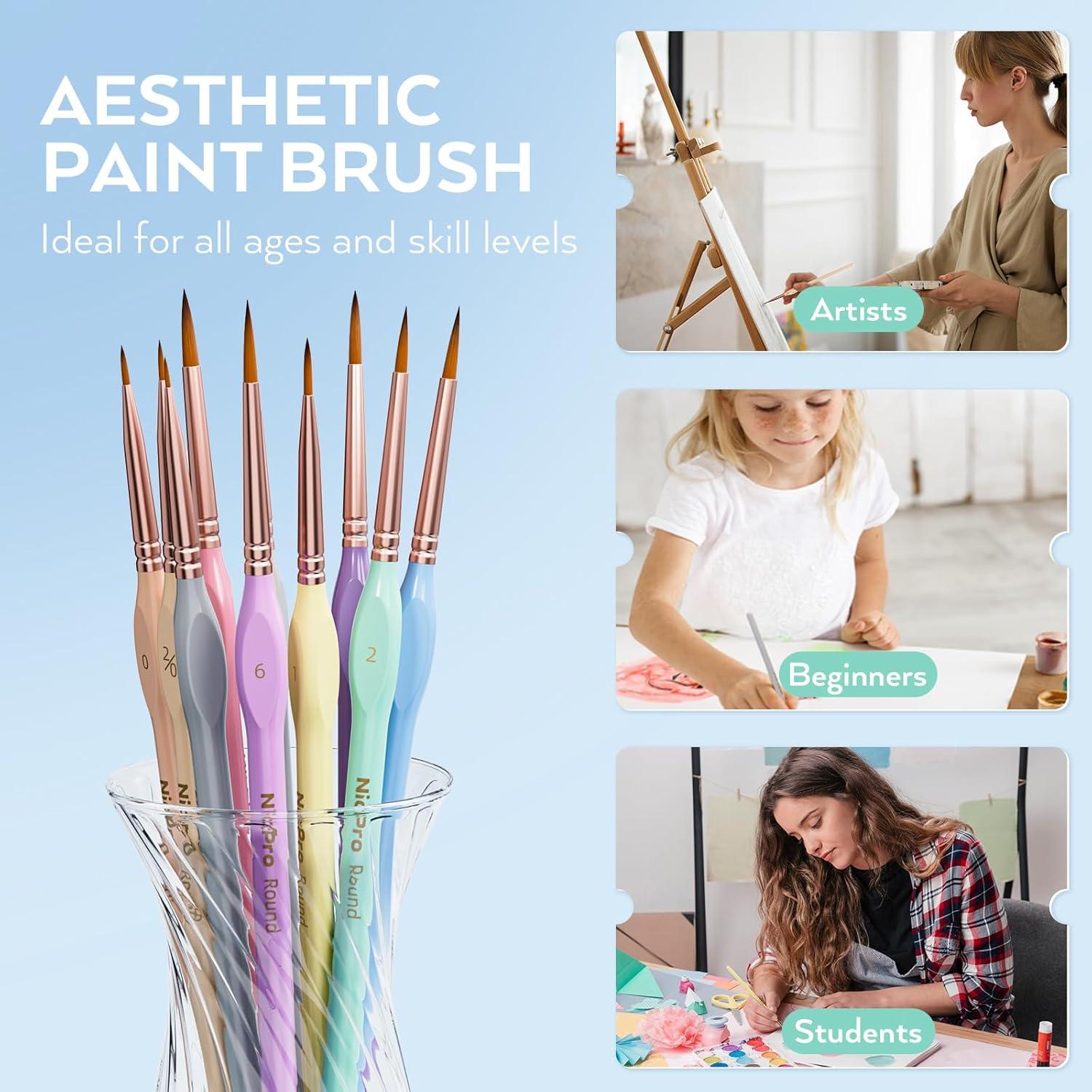 Juego de 10 Pinceles Detalle Nicpro, Mango Ergonómico