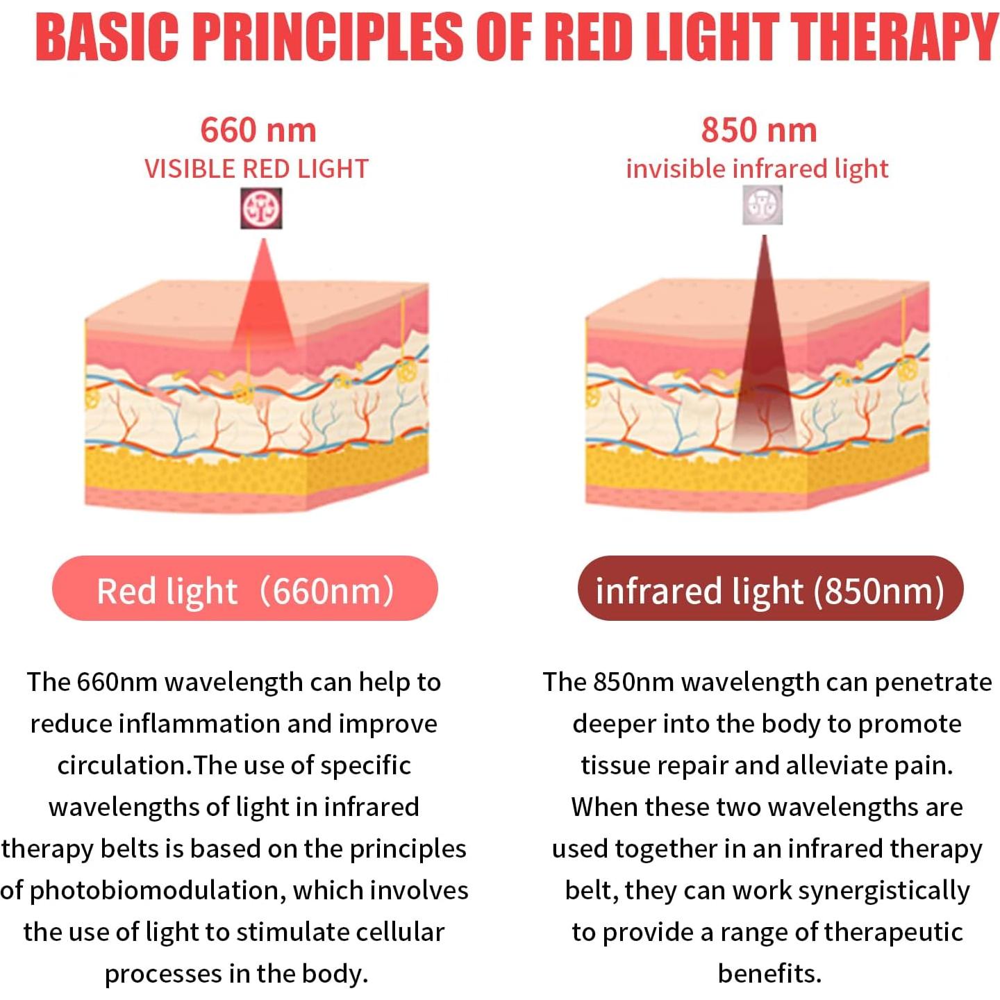 Cinturón Terapia Luz Roja ADVARAYS 21.78x19.61cm Alivio Dolor