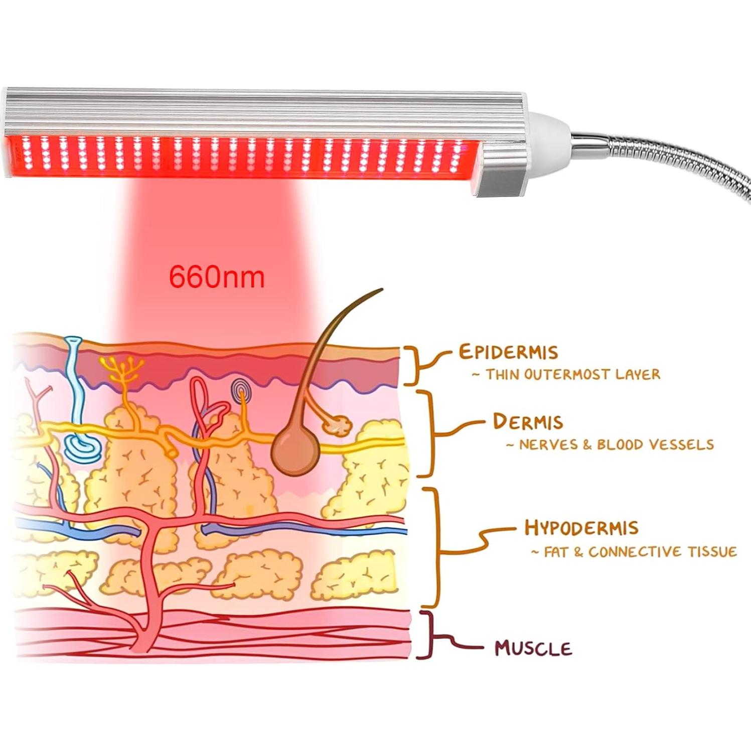 Lámpara de Terapia de Luz Roja MAINENG M7666 660nm LED