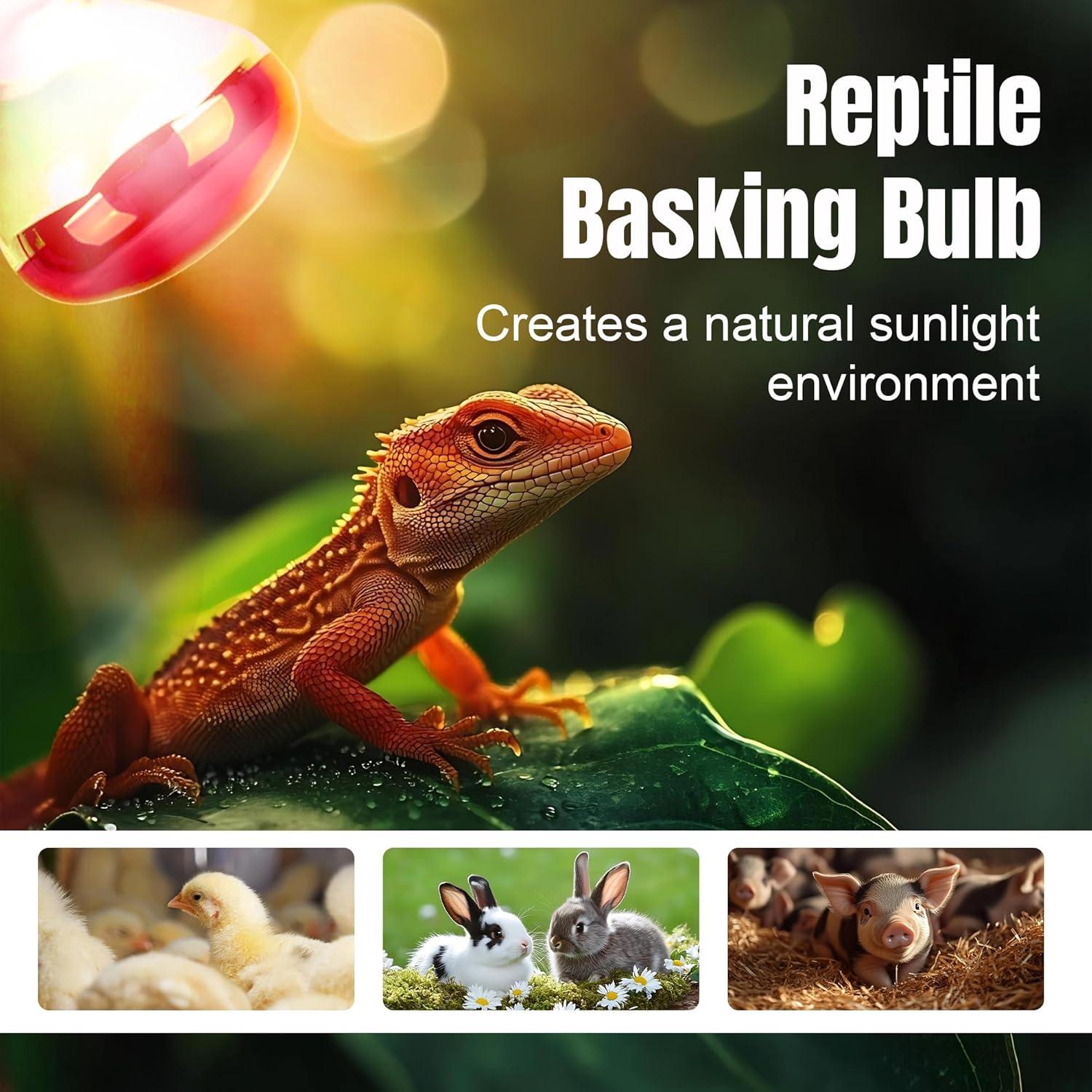 Bombillas de Calor Infrarrojo R40 ZENHAGU 250W Rojo 4 Unidades