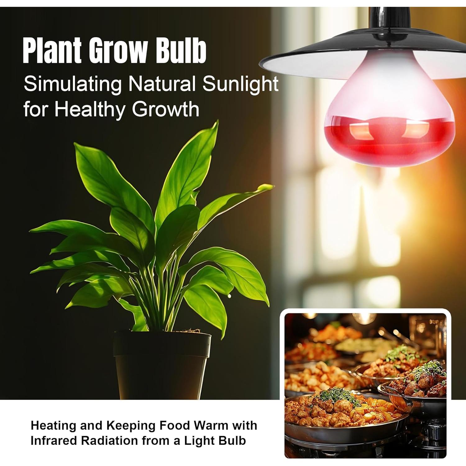 Bombillas de Calor Infrarrojo R40 ZENHAGU 250W Rojo 4 Unidades