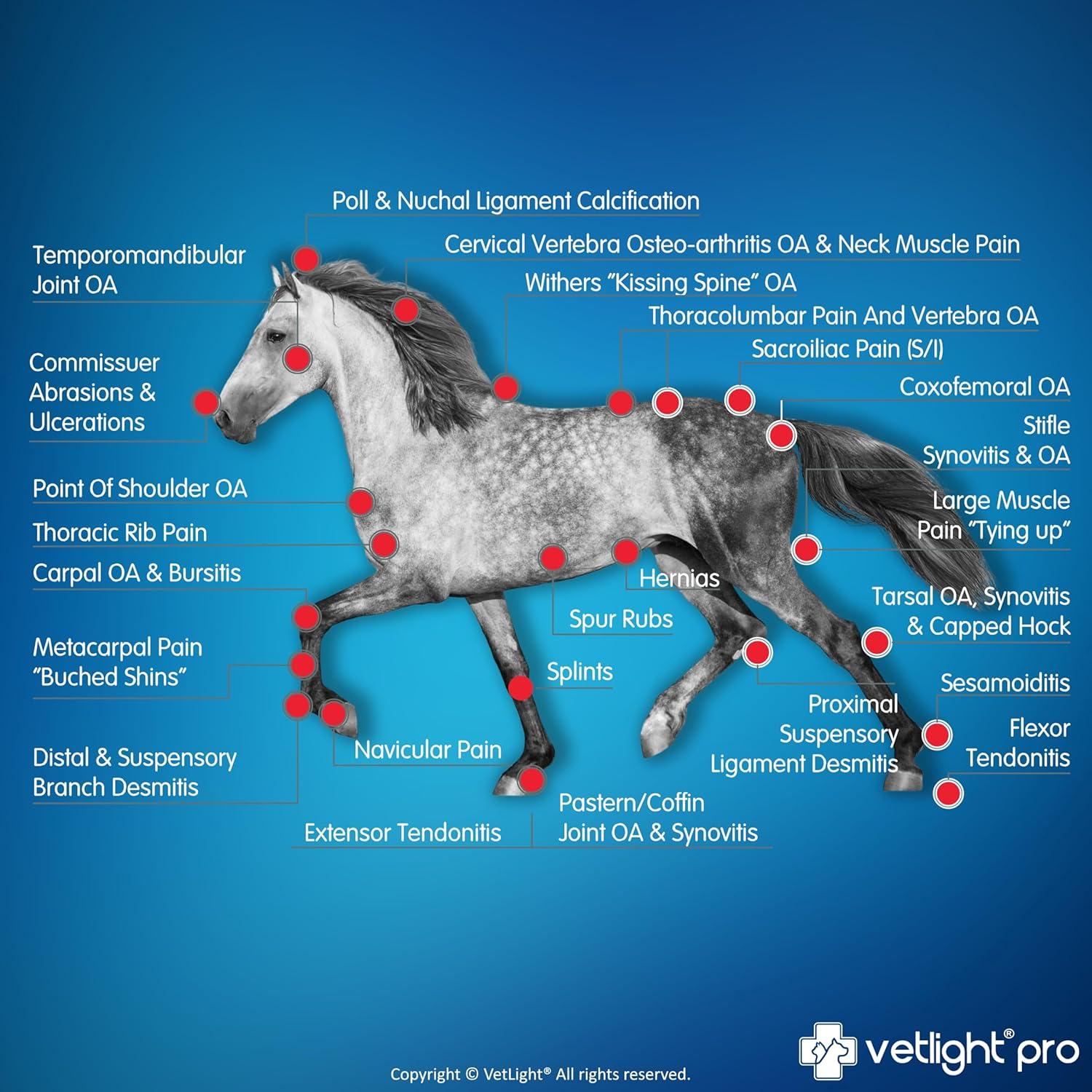 Dispositivo de Luz Roja Portátil SHINE VetLight Pro para Mascotas - Terapia Profesional