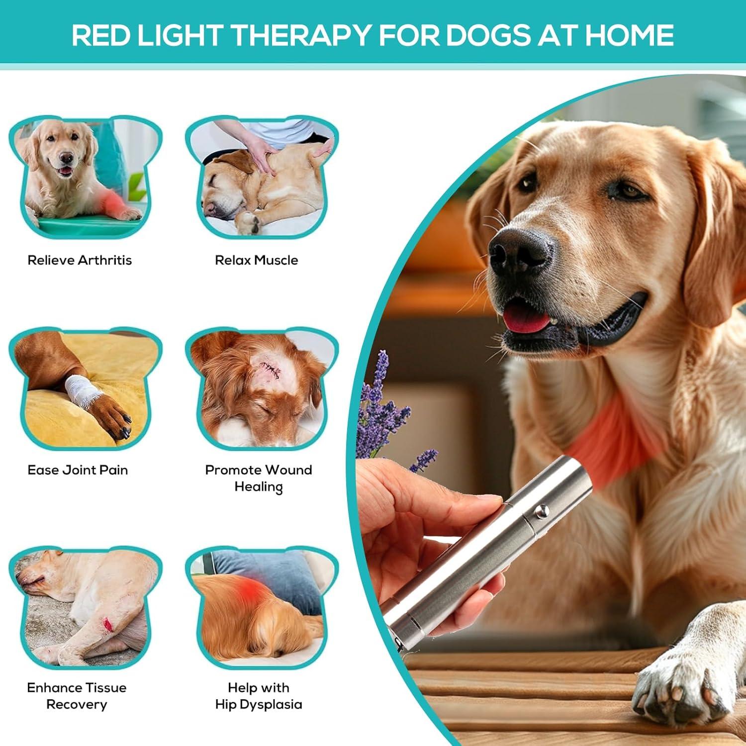 Terapia de Luz Roja Vicmama RXZER23 para Perros y Gatos