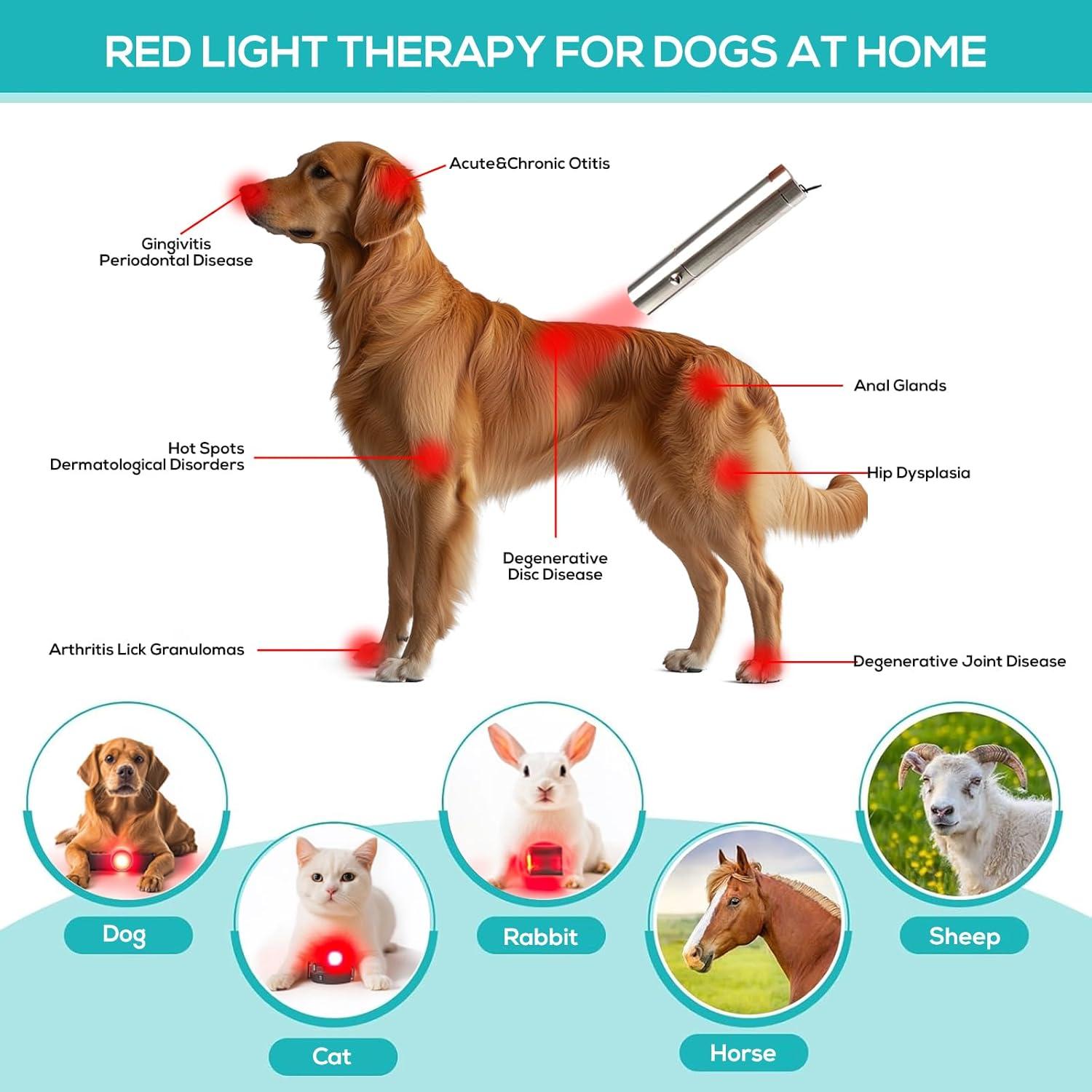 Terapia de Luz Roja Vicmama RXZER23 para Perros y Gatos