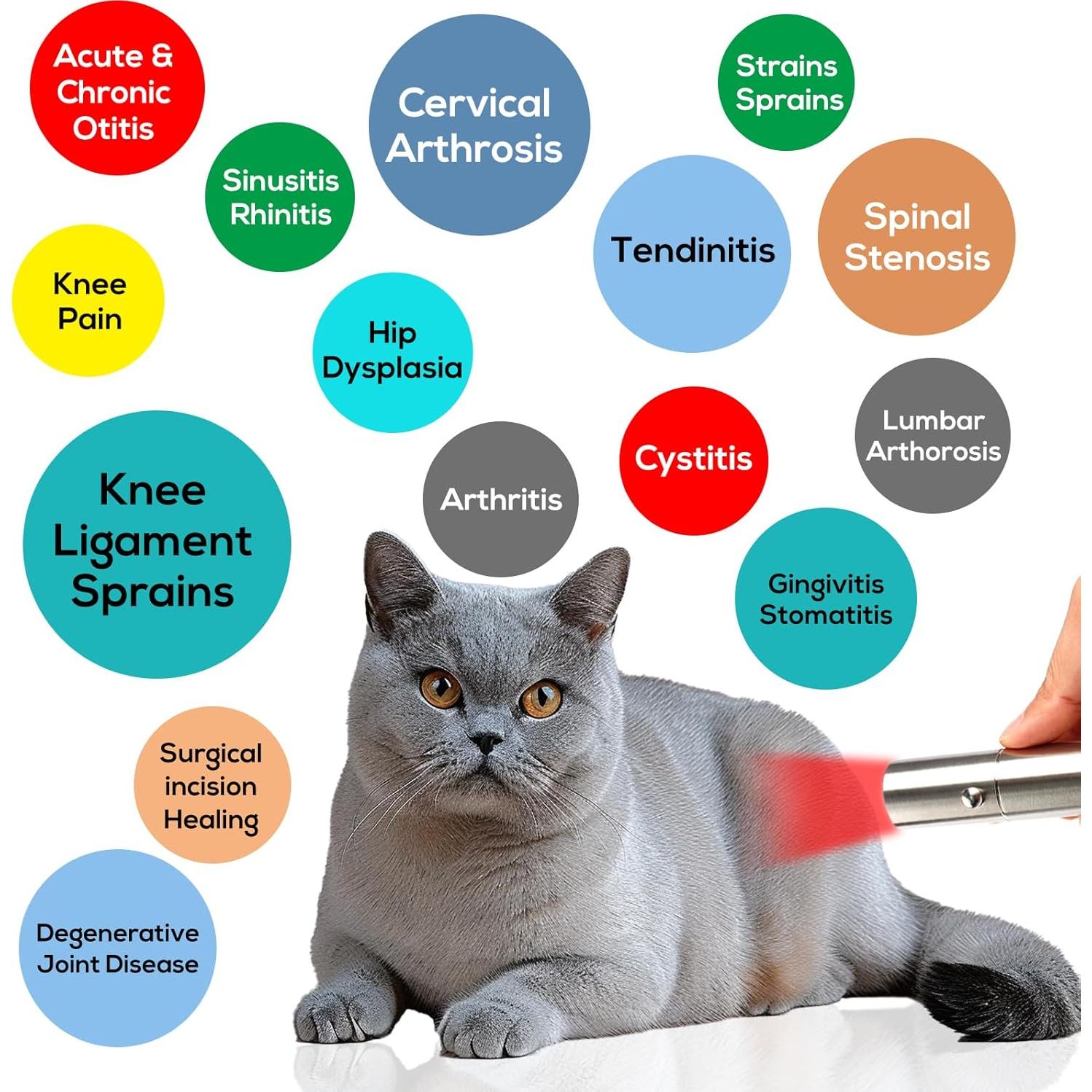 Terapia de Luz Roja Vicmama RXZER23 para Perros y Gatos