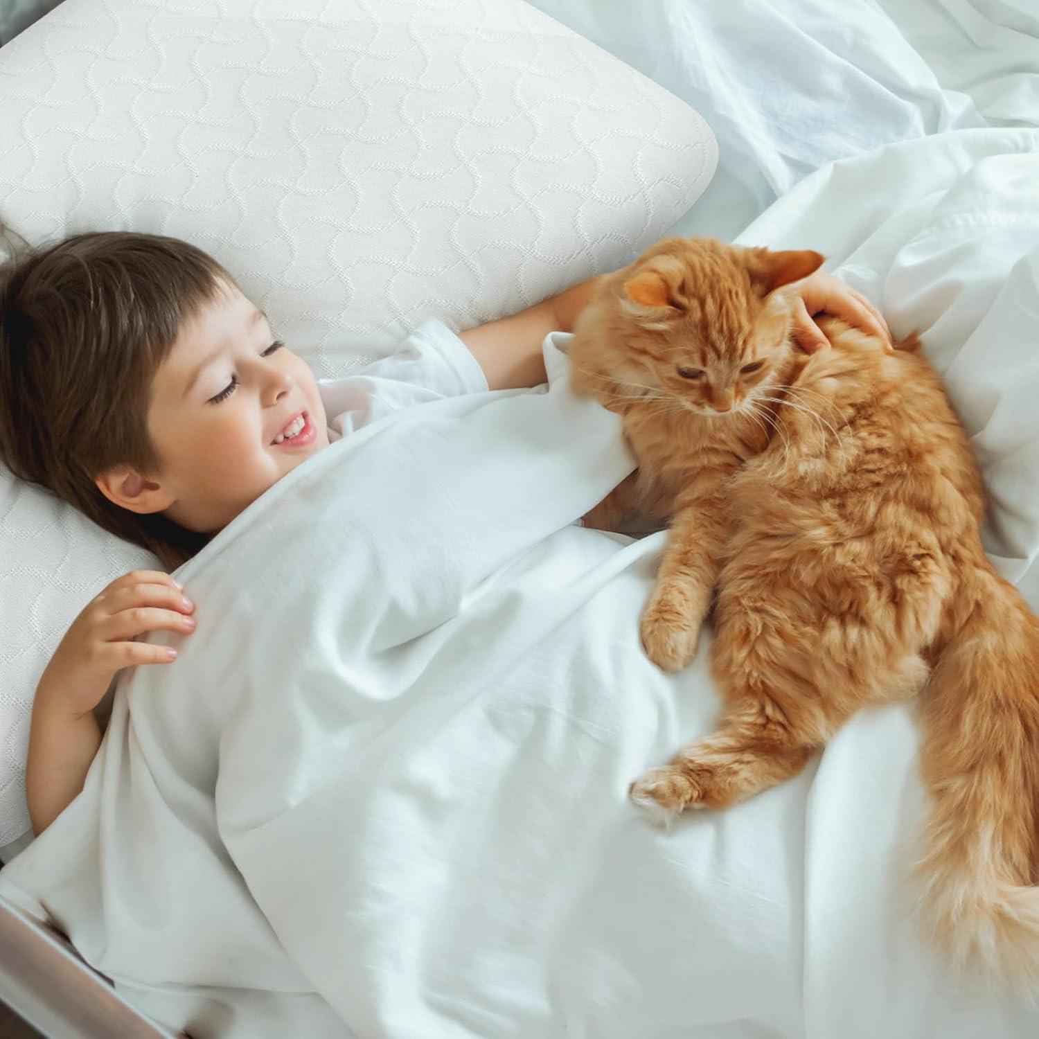 Almohada de Espuma de Memoria PlushHavenCloud Reina 26x40 cm