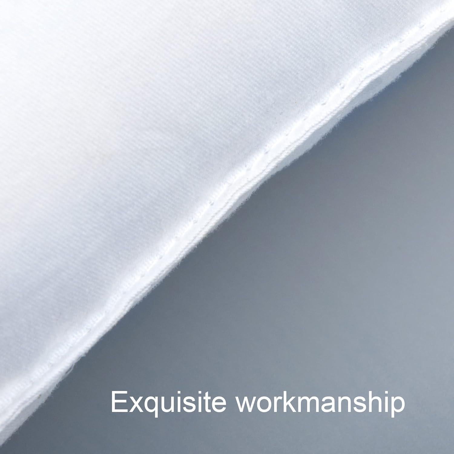 Almohadas NTBAY 2 Pack 33x46 cm Microfibra Suaves