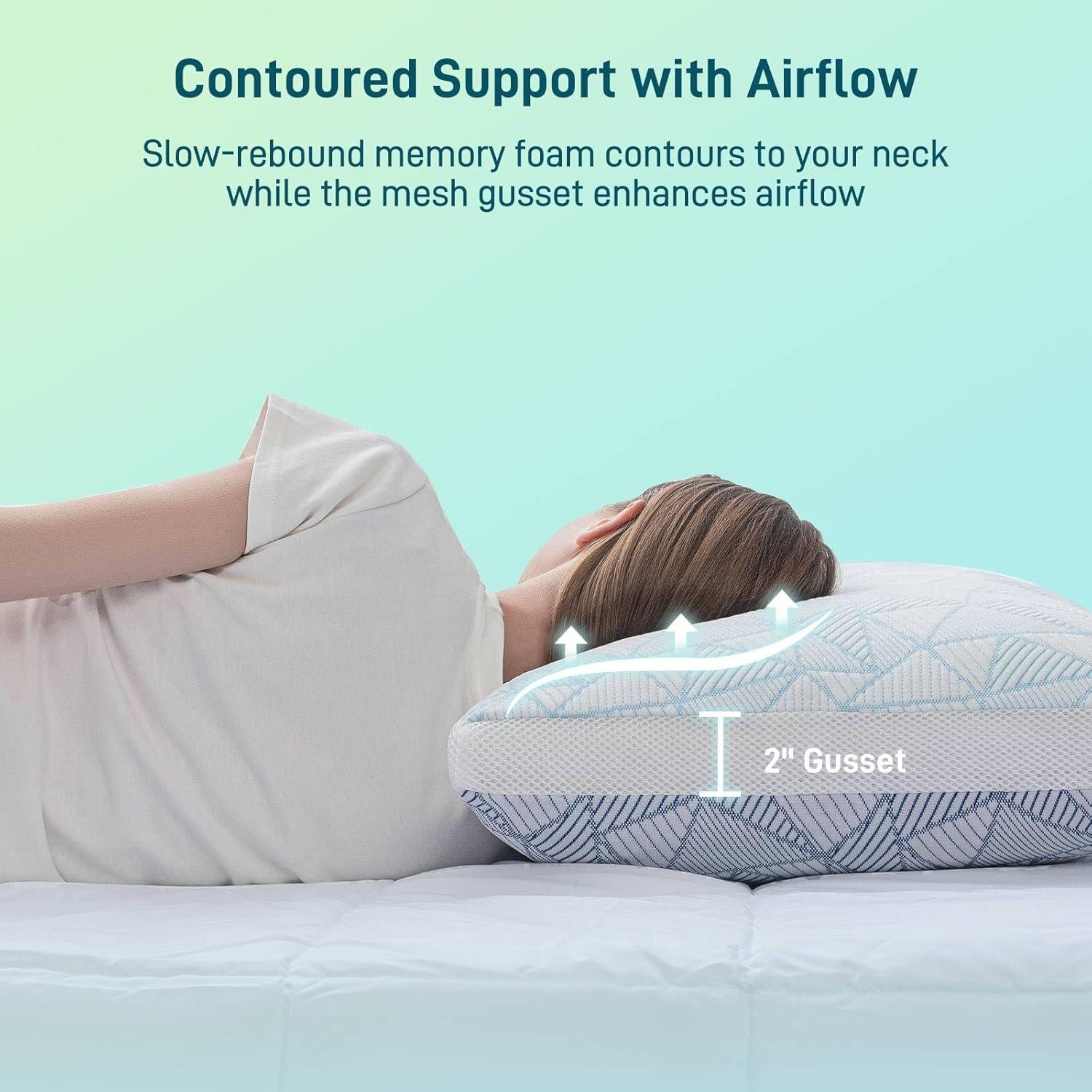 Juego de 2 almohadas viscoelásticas Sylvaris Queen hipoalergénicas