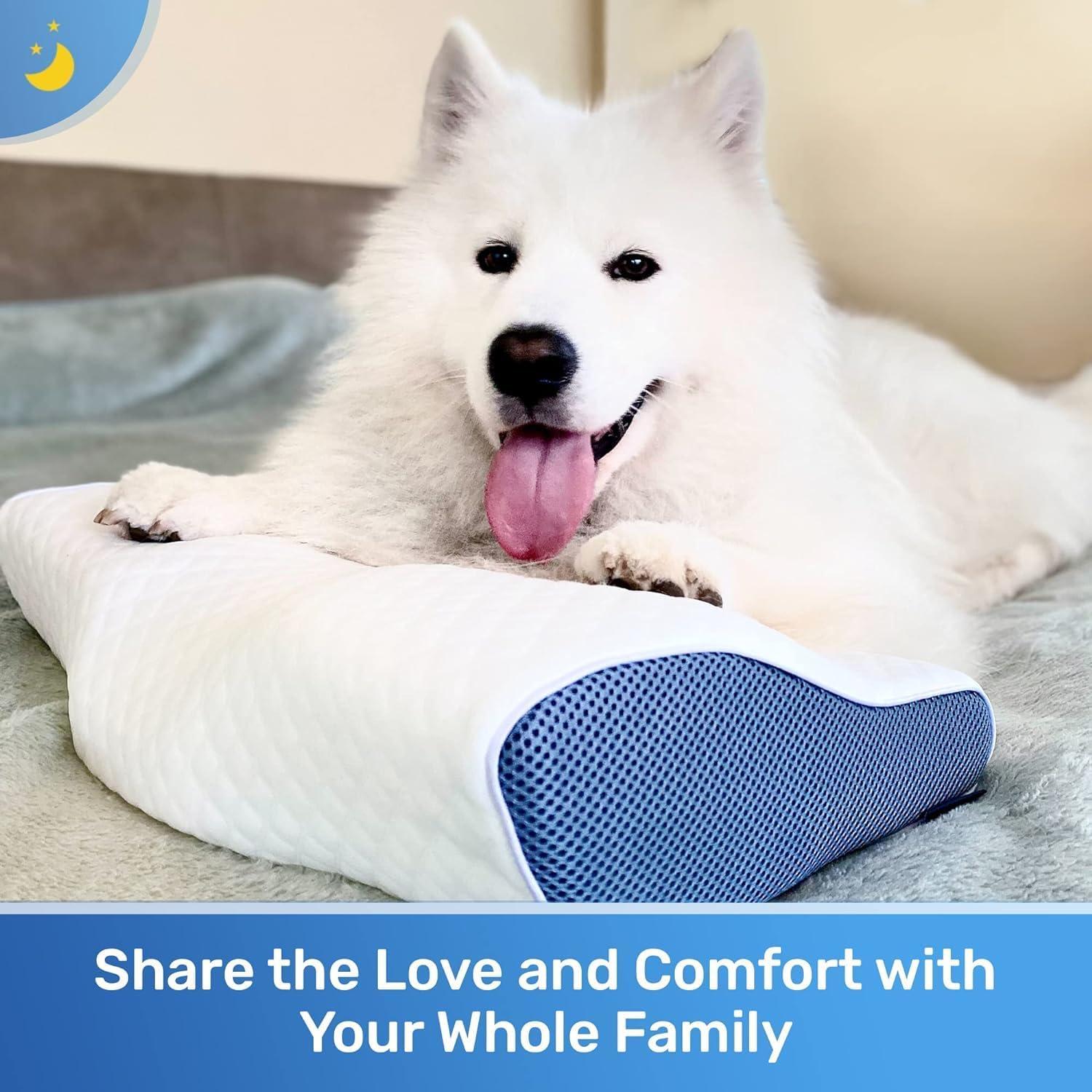 Derila Cervical Queen Size Pillow for Sleeping - Ergonomic Neck Support Pillow for Neck & Shoulder Pain Relief - Side, Back, Stomach Sleepers - Contour Best Bed Anti-Snoring Pillows for Sleeping