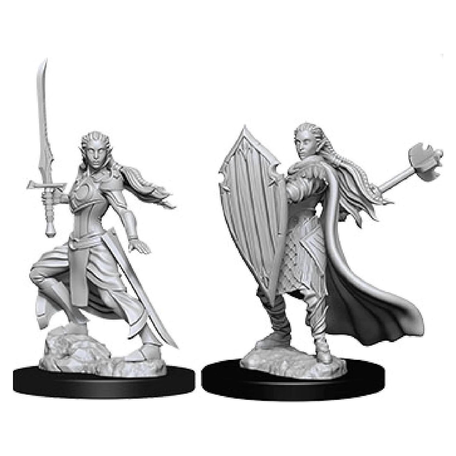 Miniaturas Sin Pintar D&D Nolzur Paladín Elfa Femenina 2u
