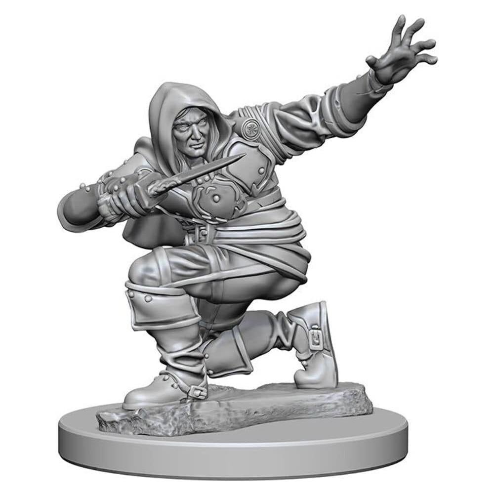 Miniatura Sin Pintar NECA Pathfinder Pícaro Humano 25,4 cm