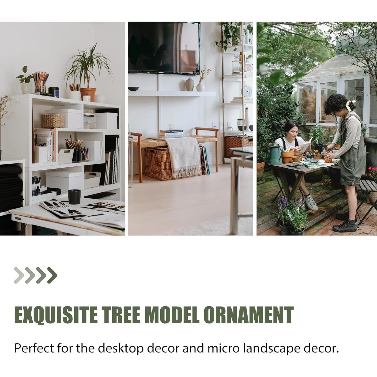 Mini árbol Baobab Garneck 10.5x6x16 cm decoración