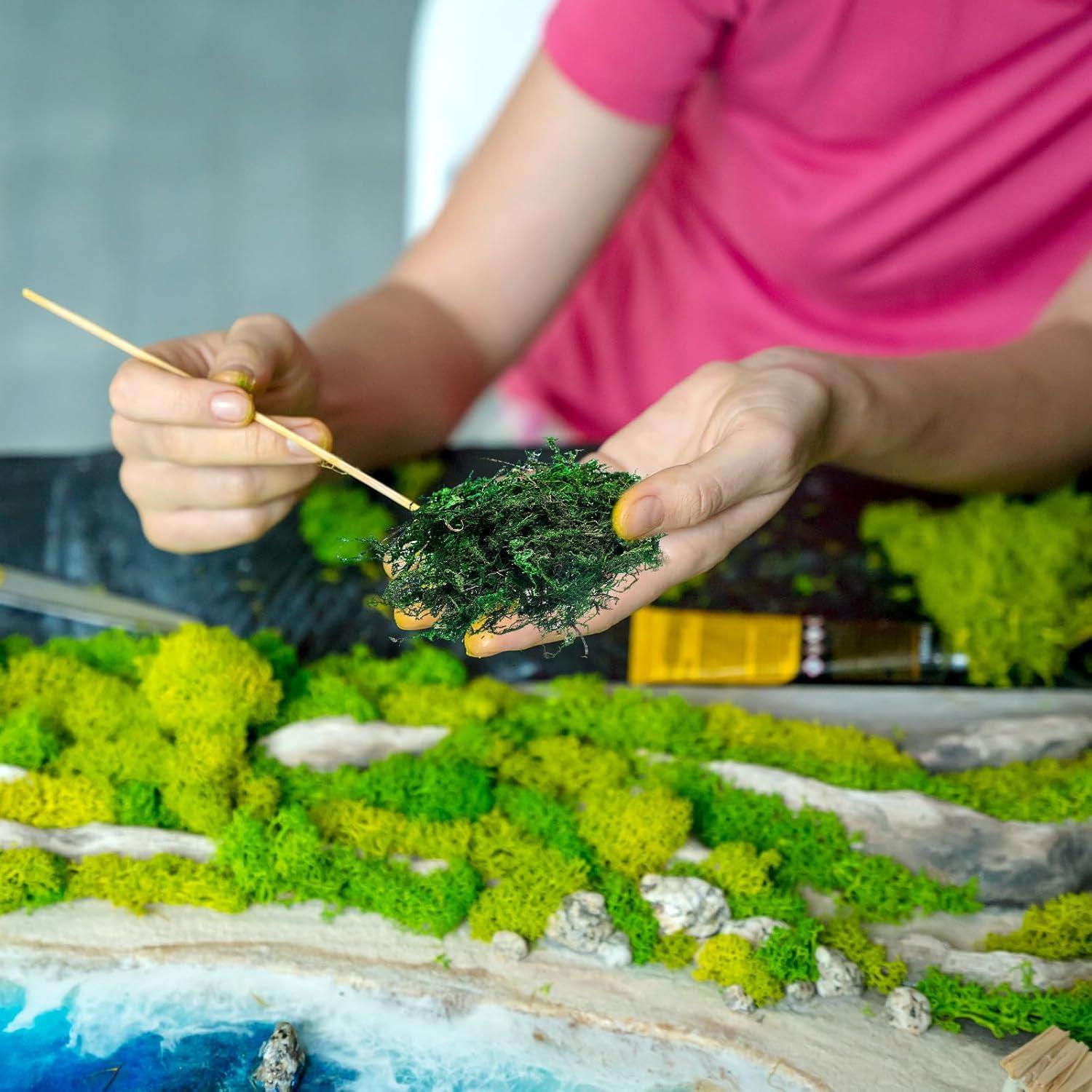 Kit de Material de Base de Escenario Honoson 9 Paquetes