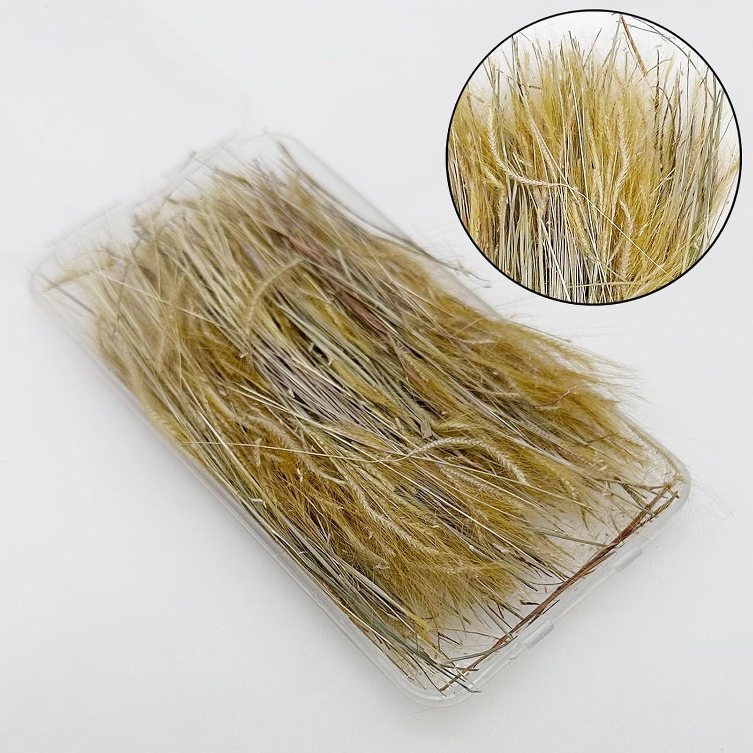 Woohome 2 Cajas Césped Estático Miniatura Trigo para Dioramas