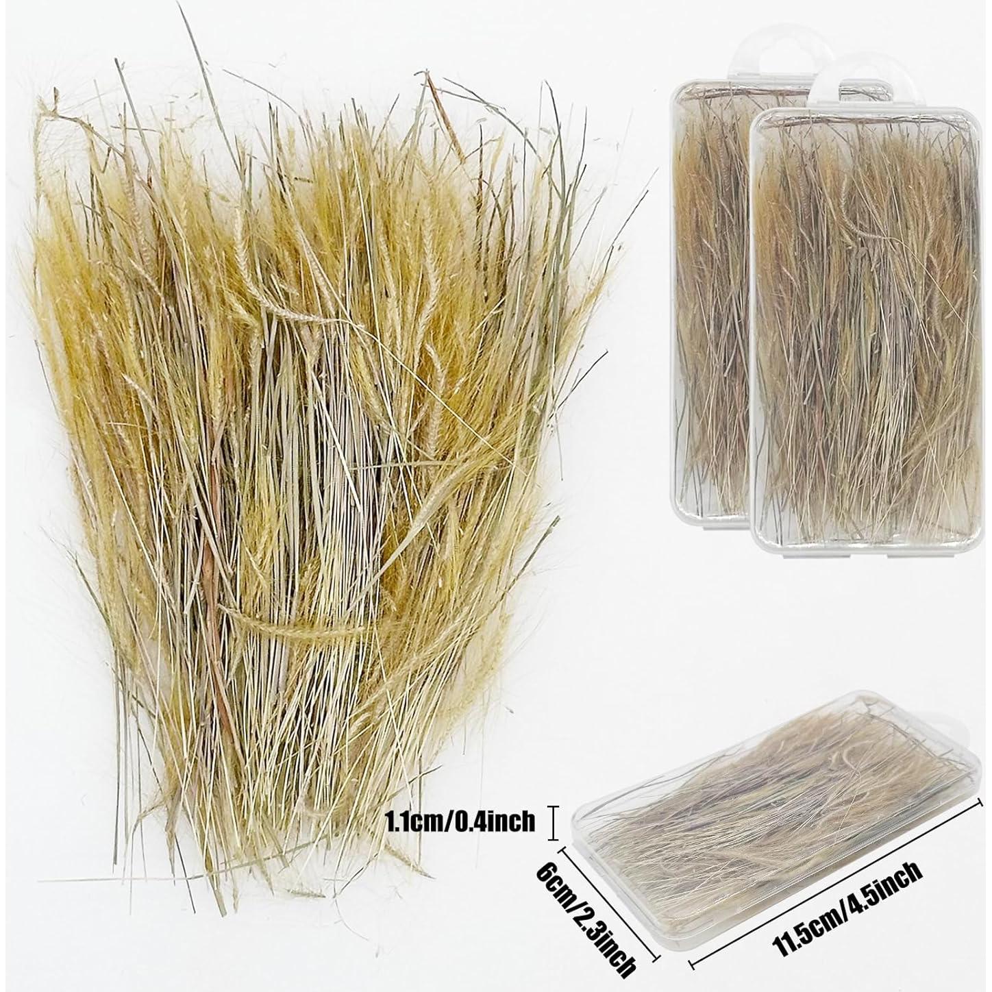 Woohome 2 Cajas Césped Estático Miniatura Trigo para Dioramas