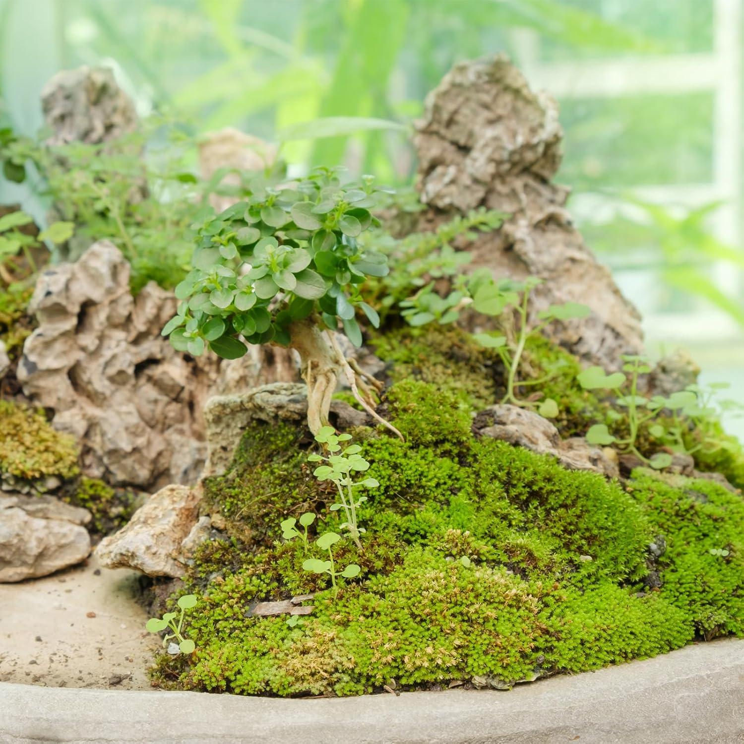 Hierba Estática MECCANIXITY Nylon 3mm Roja 2x30g