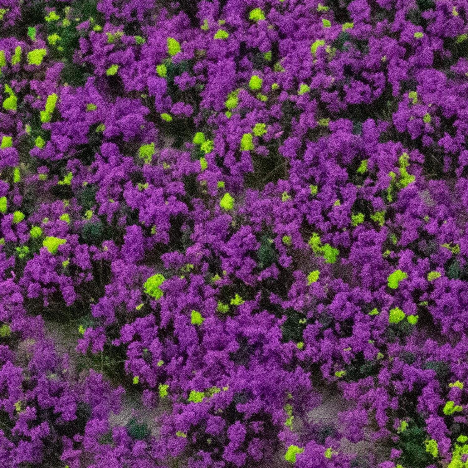 Tufts de Hierba Estática Autoadhesiva War World Scenics x100 - Brezo 6mm